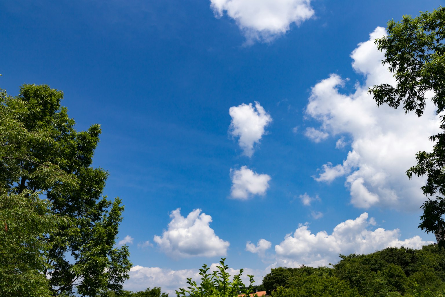 Eine Landschaft mit blauem Himmel, weißen Wolken und grünen Bäumen
