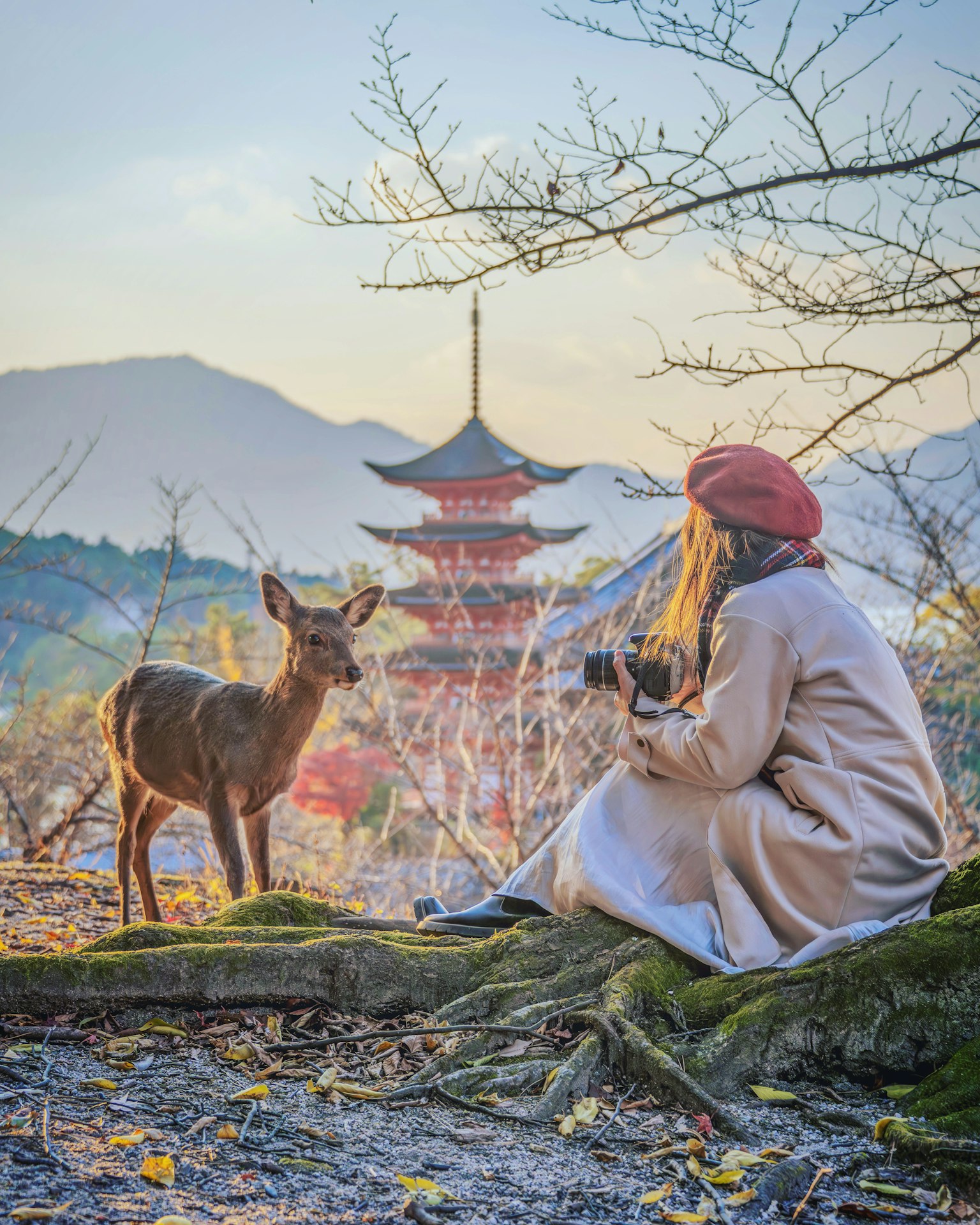 Una donna che fotografa un cervo davanti a una pagoda con montagne sullo sfondo