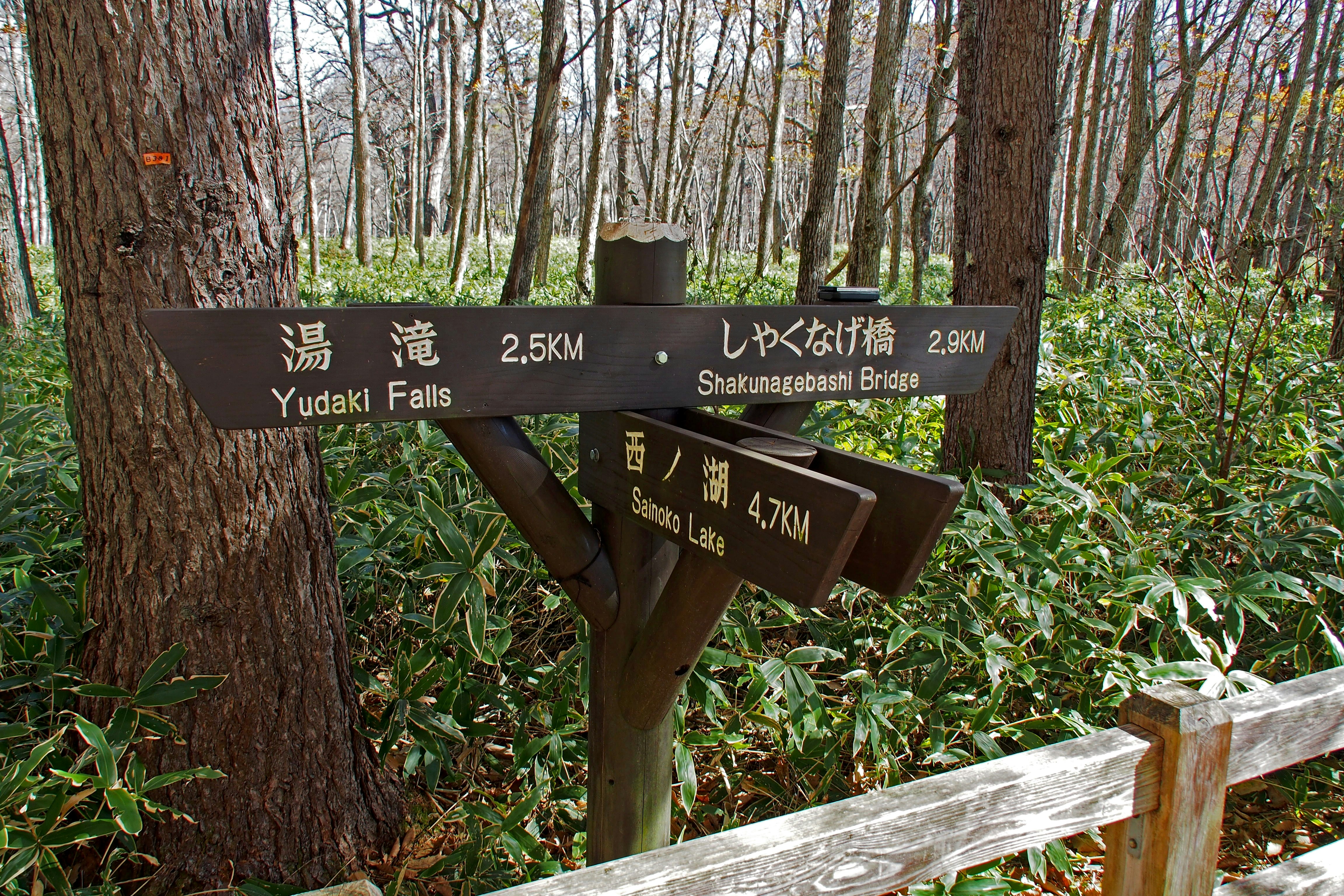 Wegweiser im Wald mit Hinweis auf Yudaki und Snake Pond