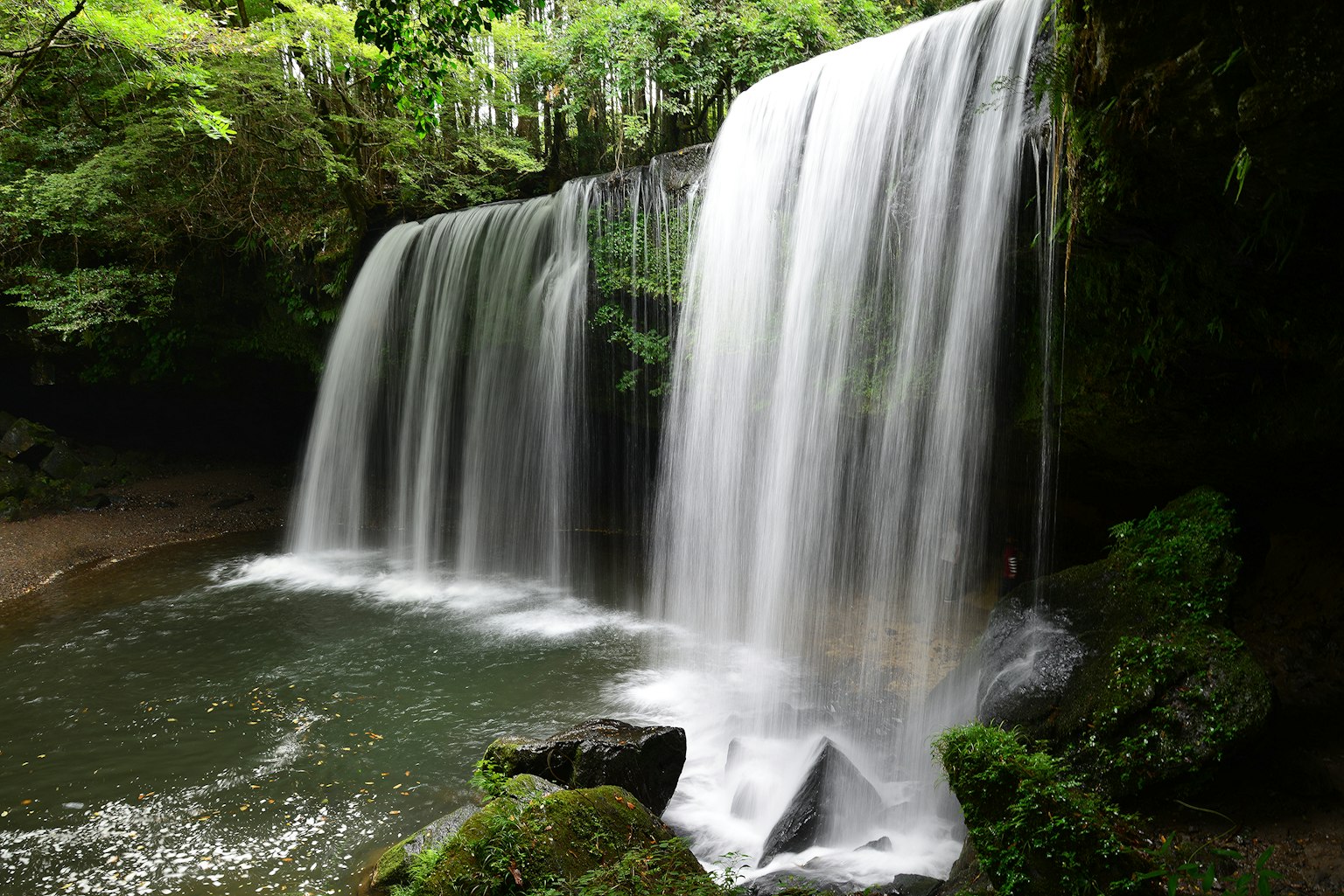 Una hermosa cascada rodeada de árboles verdes exuberantes