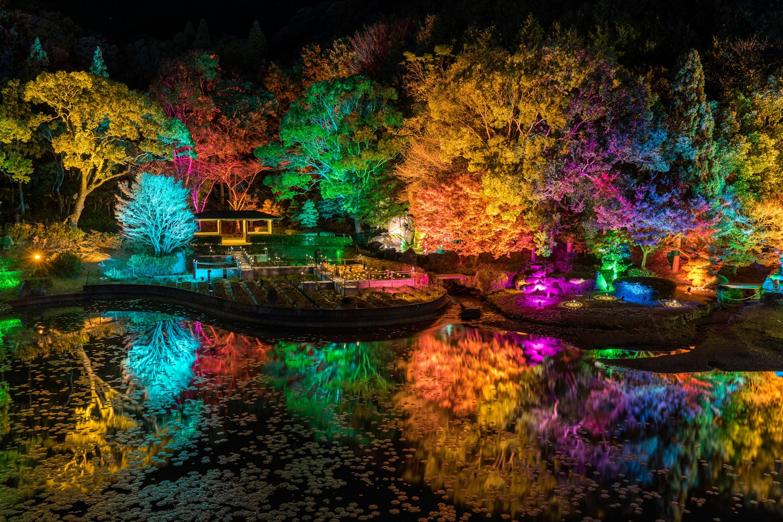 Foglie autunnali vibranti illuminate di notte con riflessi nell'acqua