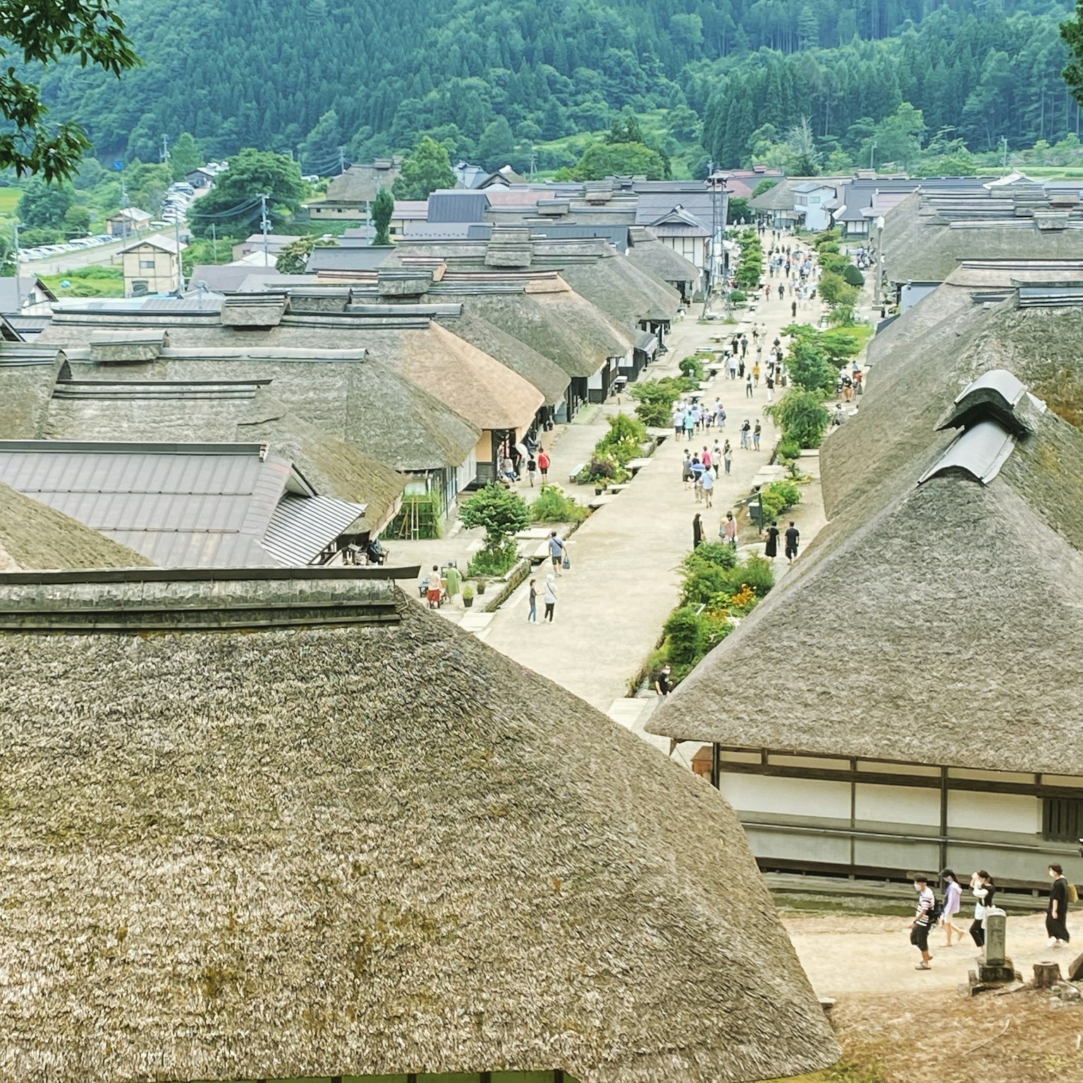 전통 일본 마을 풍경, 이엉 지붕 집들이 줄지어 있고 푸른 산들로 둘러싸인