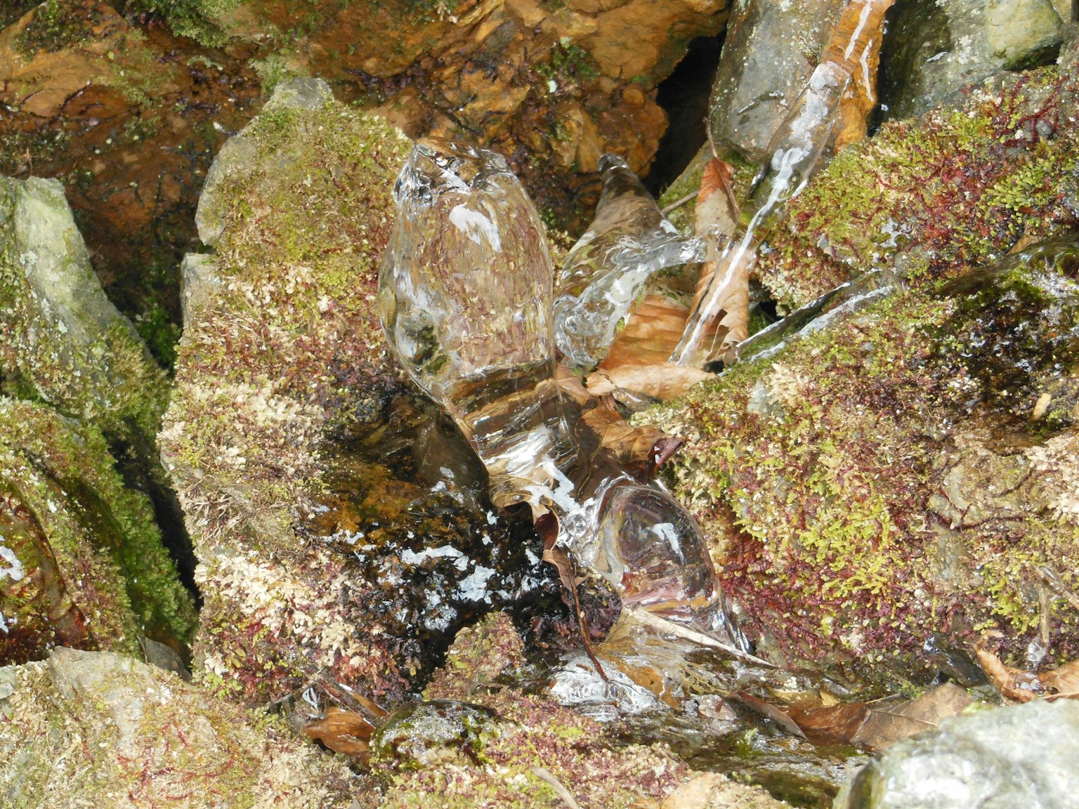 Paisaje natural con rocas y musgo en el agua