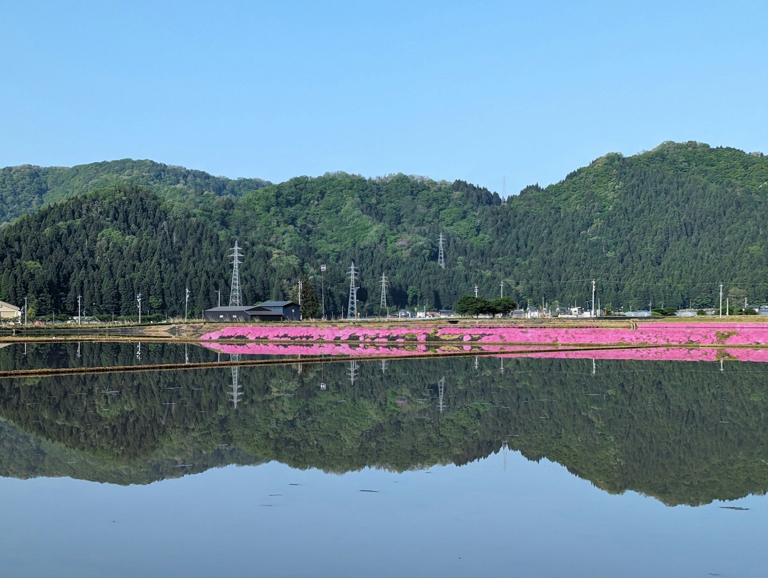 Vista escénica de flores rosas a lo largo del agua con reflejos de montañas