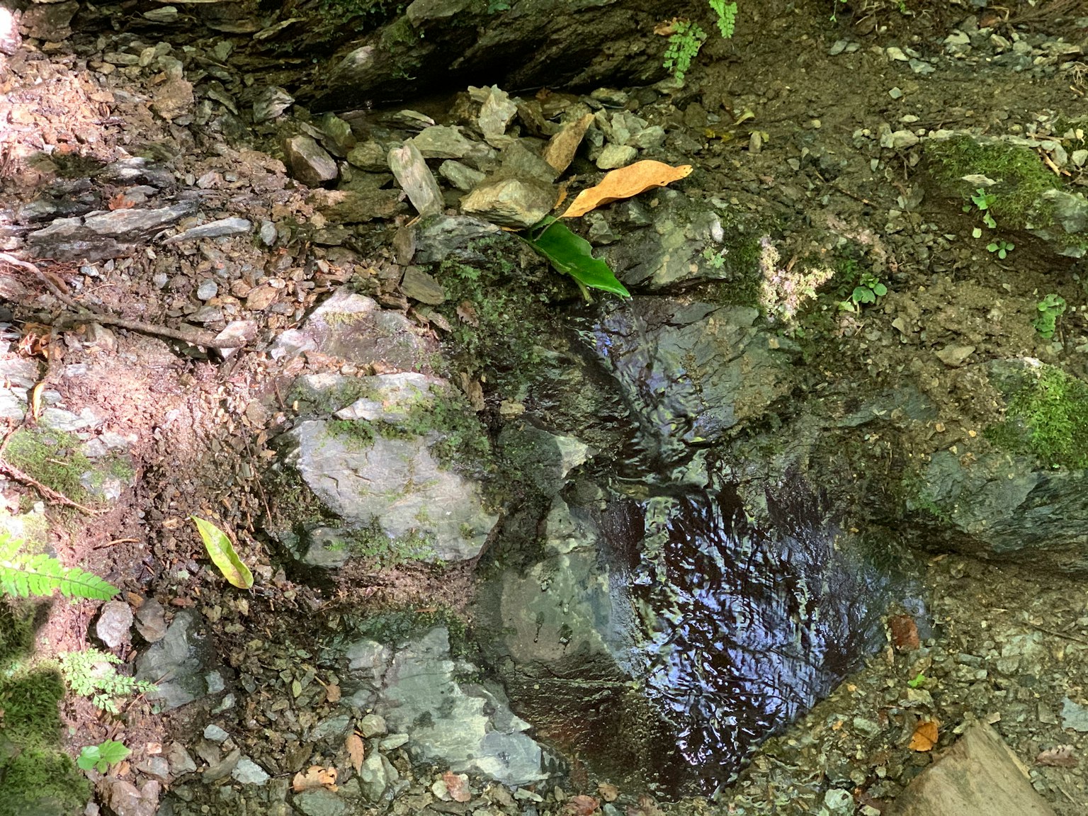Un pequeño arroyo que fluye entre rocas y piedras