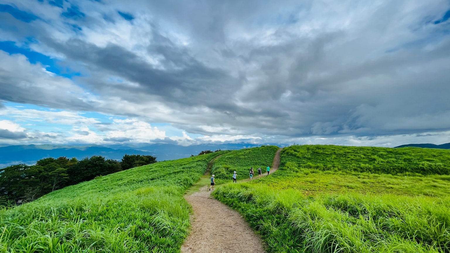 Ein malerischer Weg durch üppiges grünes Gras unter einem blauen Himmel