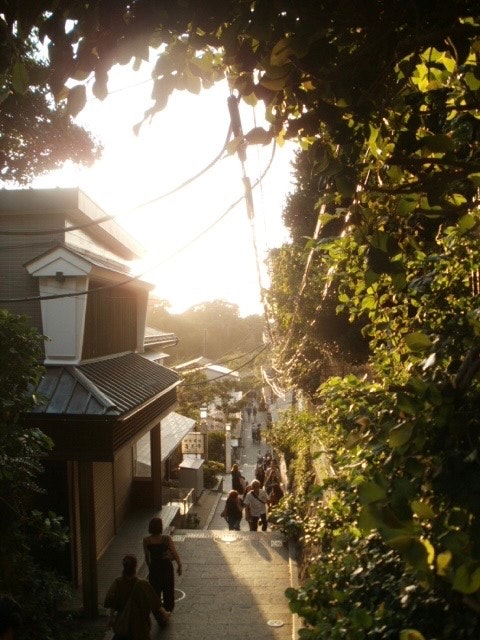 木々に囲まれた坂道の住宅街の夕暮れ風景