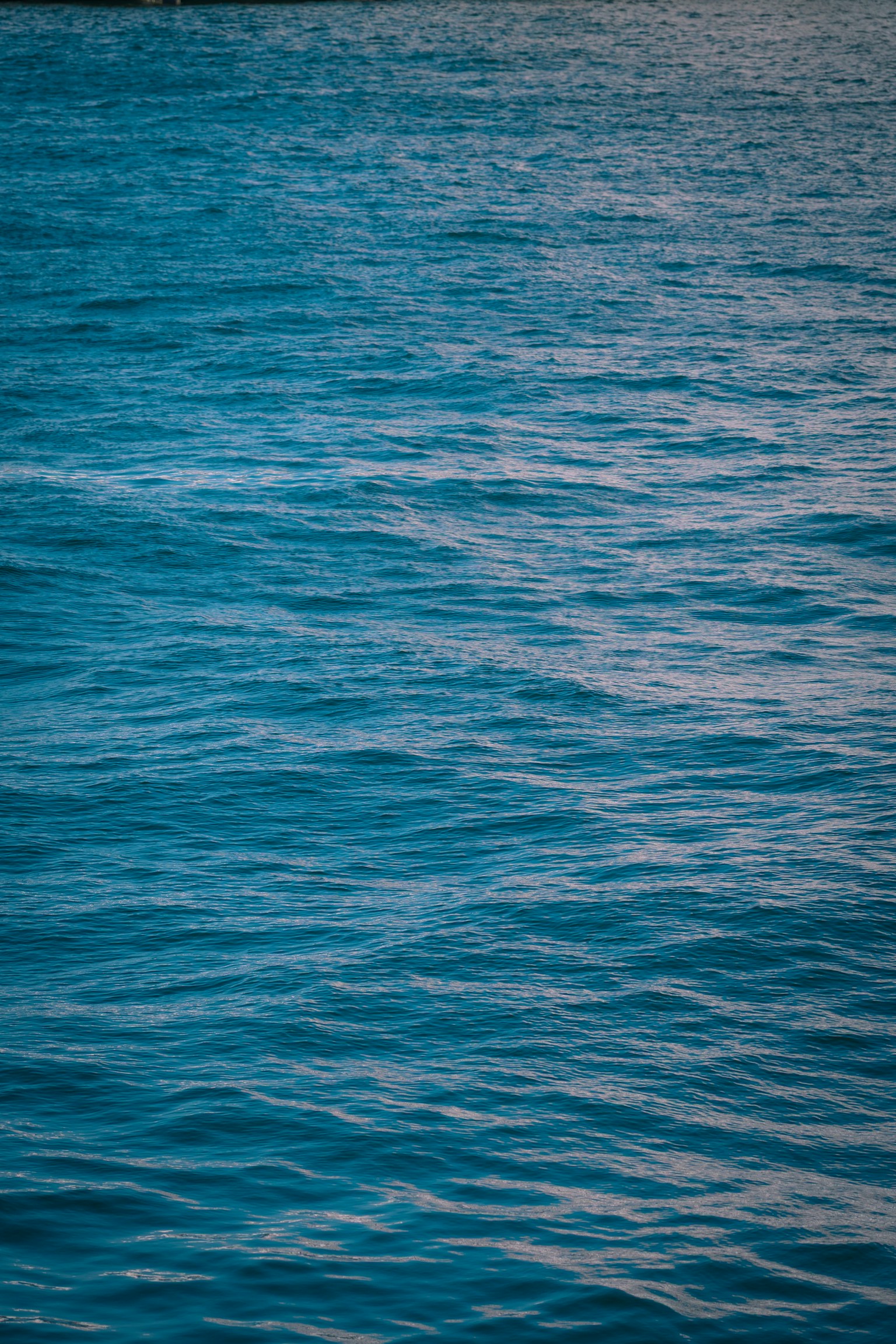 photo-SpFFUSsO2b6xL0vqo2j7-image