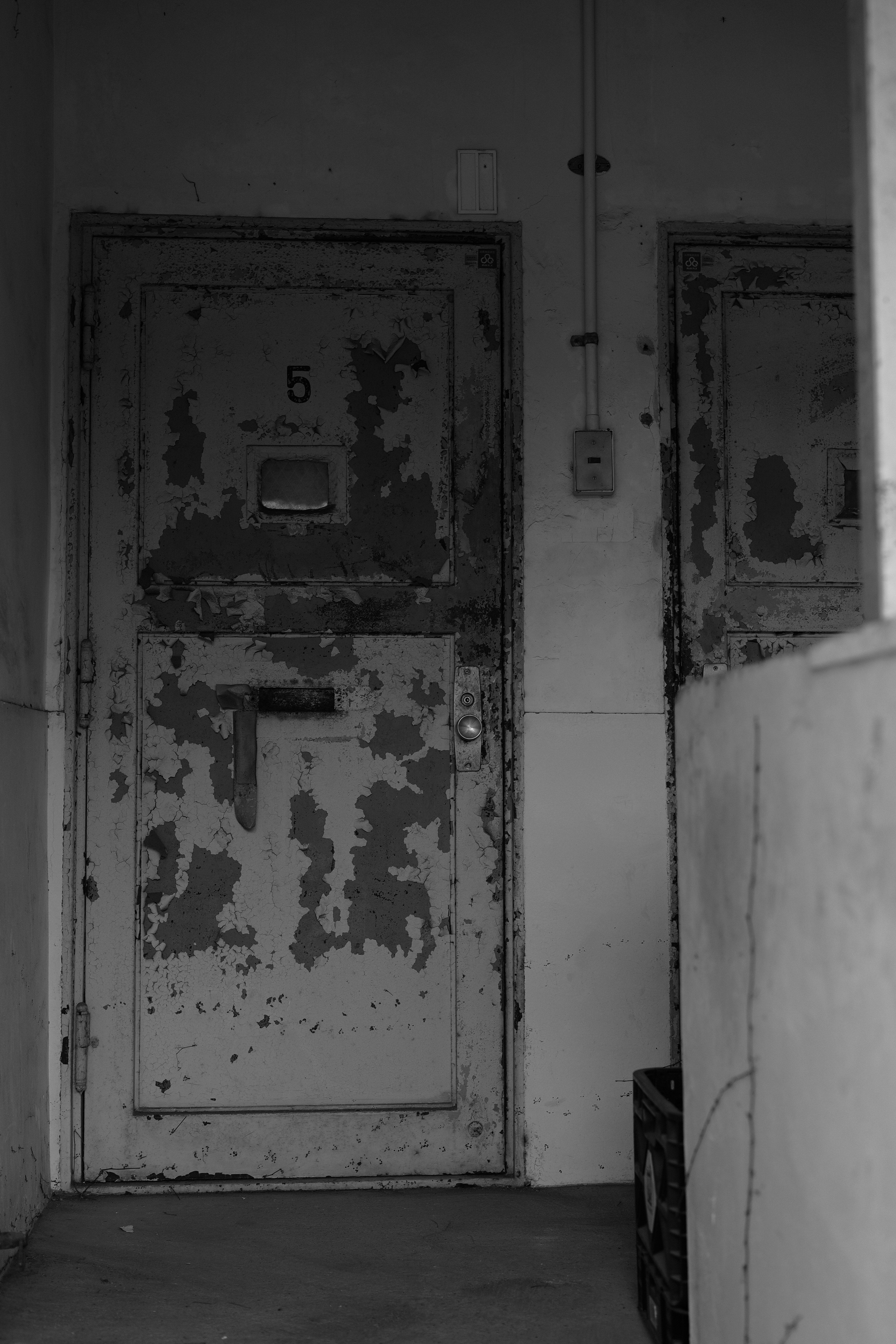 photo-SpQLWQBUxsYro3XfpKm4-image