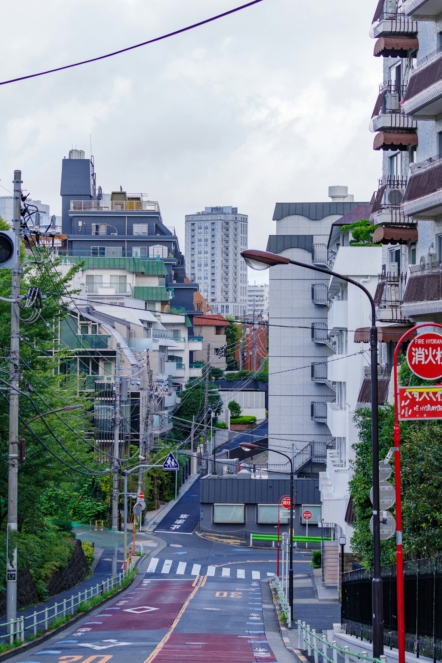 Vista sulle strade di Tokyo con un mix di vegetazione e grattacieli sotto un cielo nuvoloso