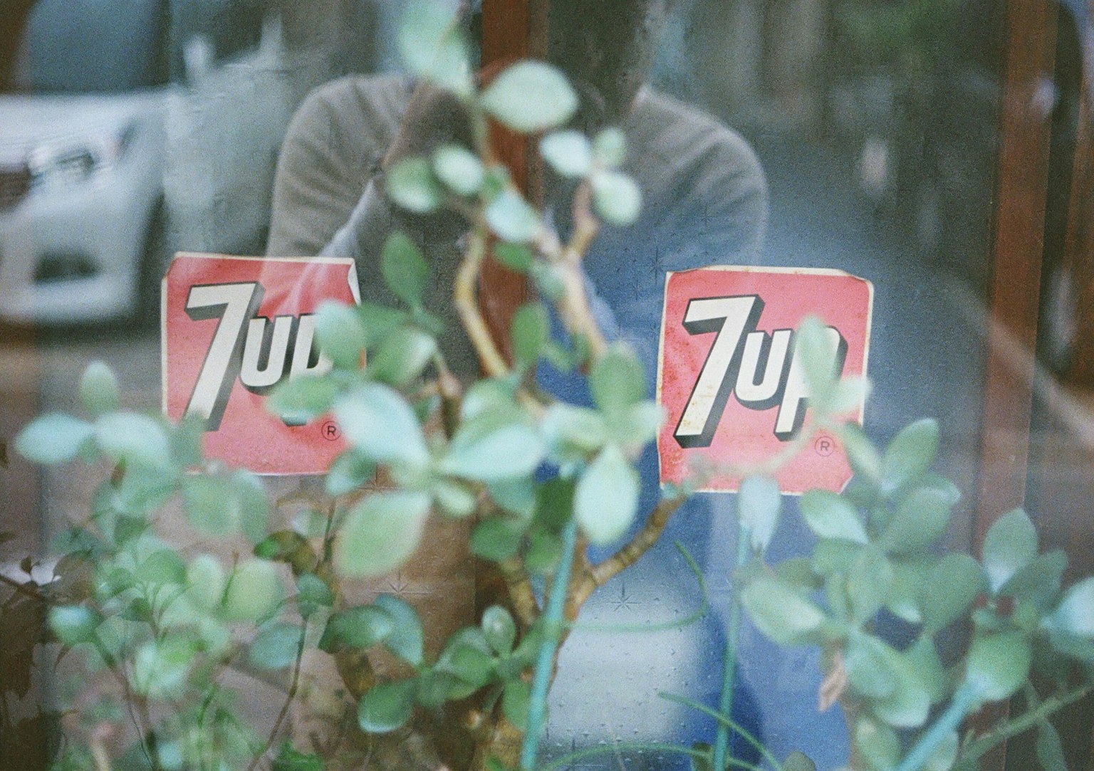 창을 통해 보이는 7UP 로고와 녹색 식물