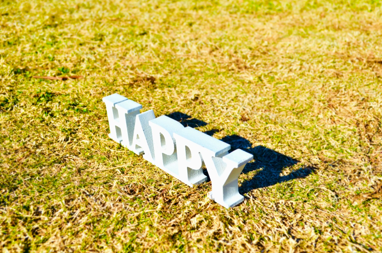 Testo bianco che scrive 'HAPPY' sull'erba