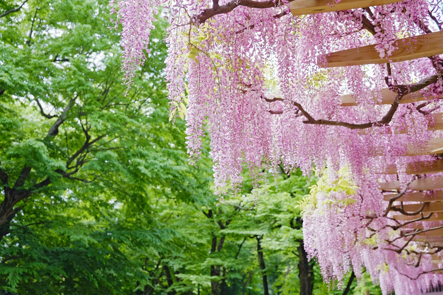 photo-SqbE5RtphEJbLn8ZqUEA-image