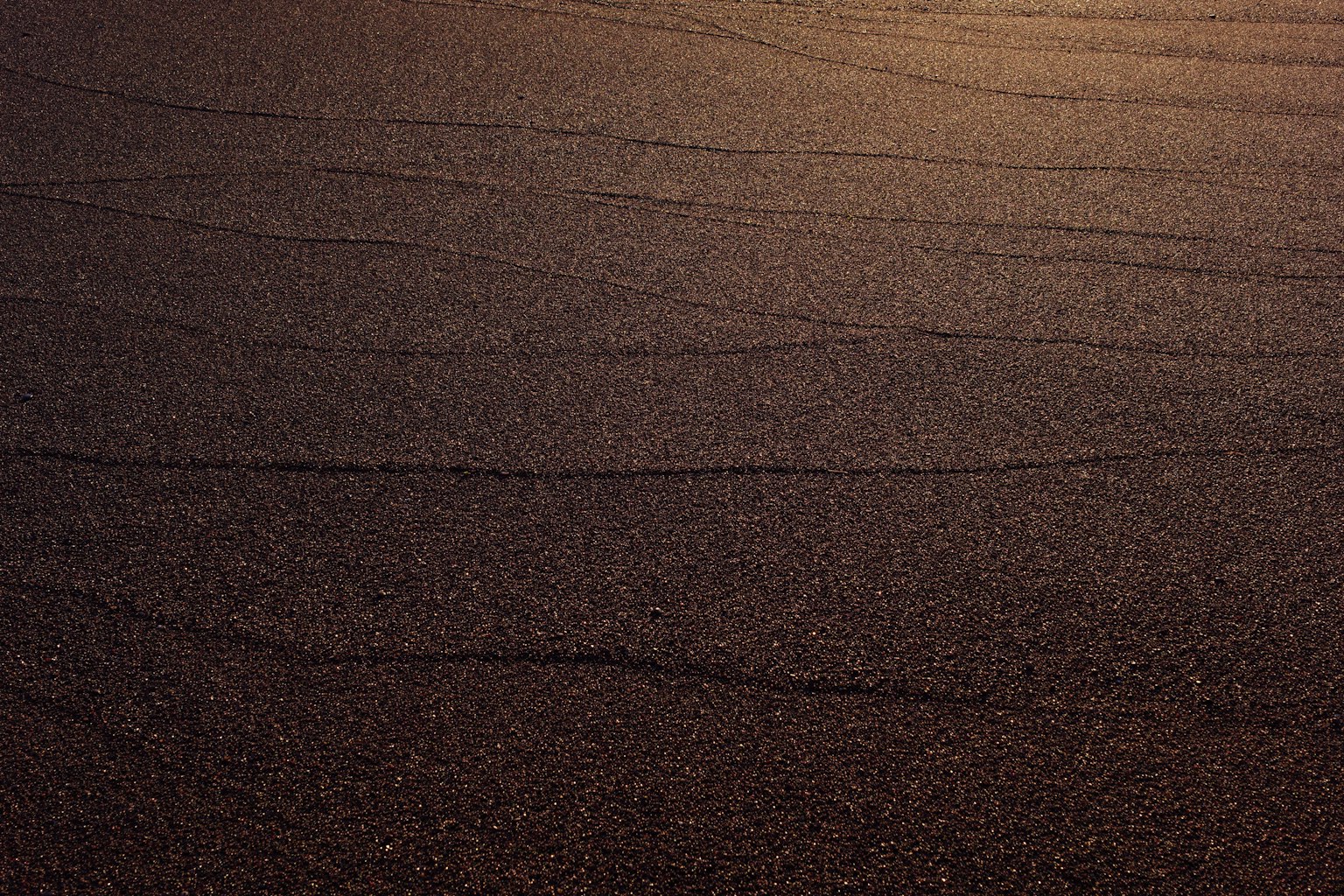 부드러운 모래 표면이 빛을 반사하고 있다