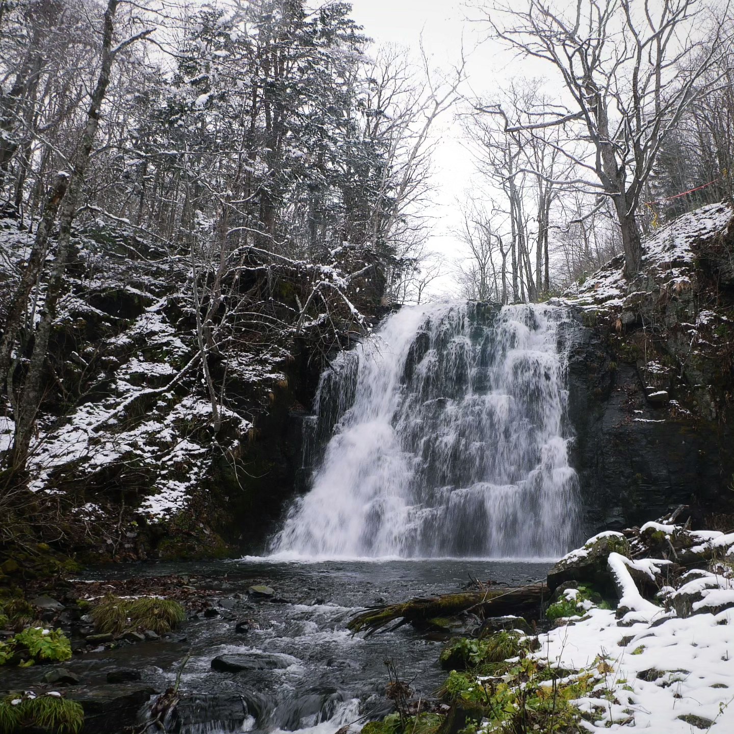 cascade qui s’écoule dans une forêt enneigée