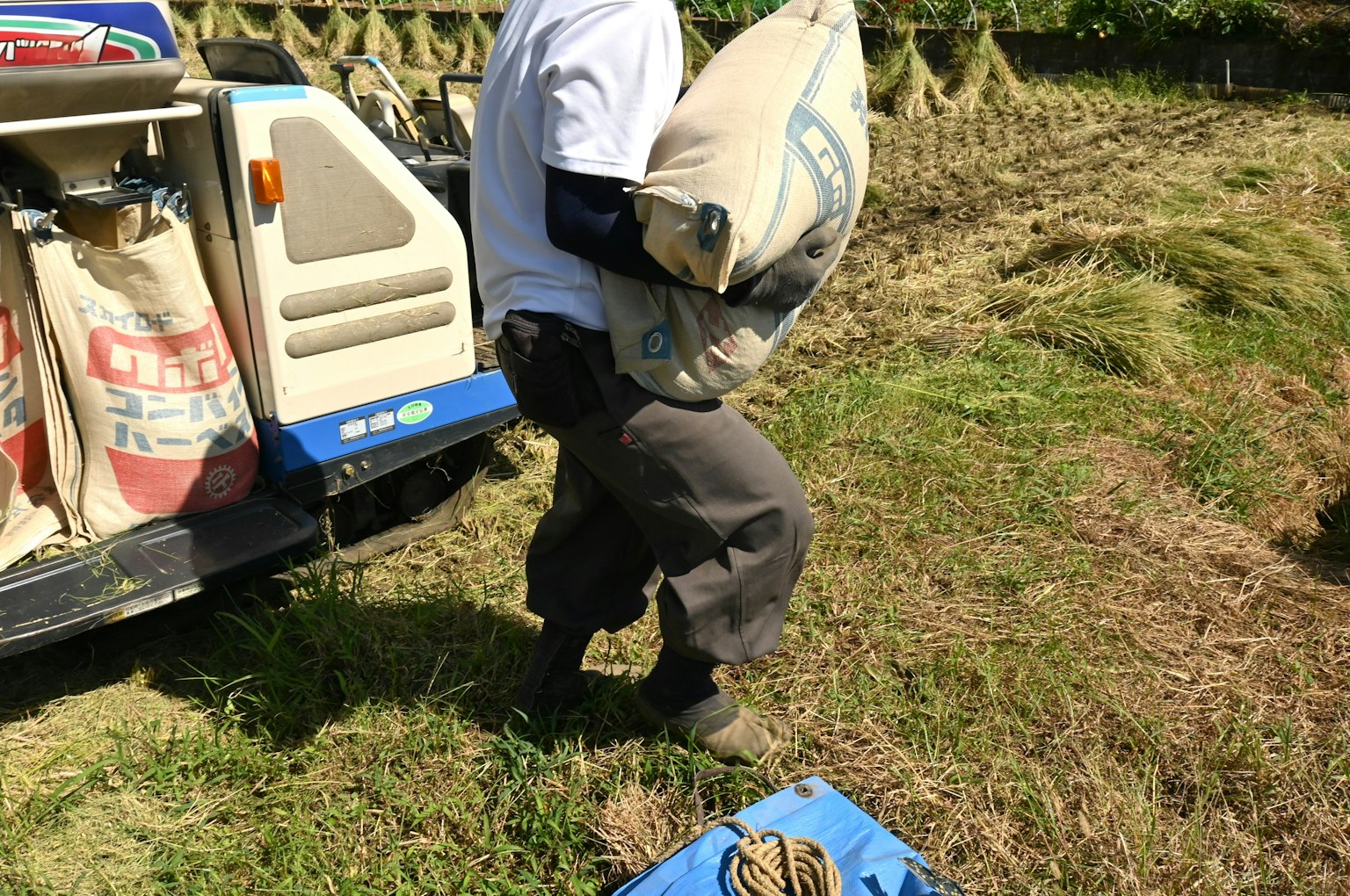 Ein Mann trägt einen Sack während der landwirtschaftlichen Arbeit