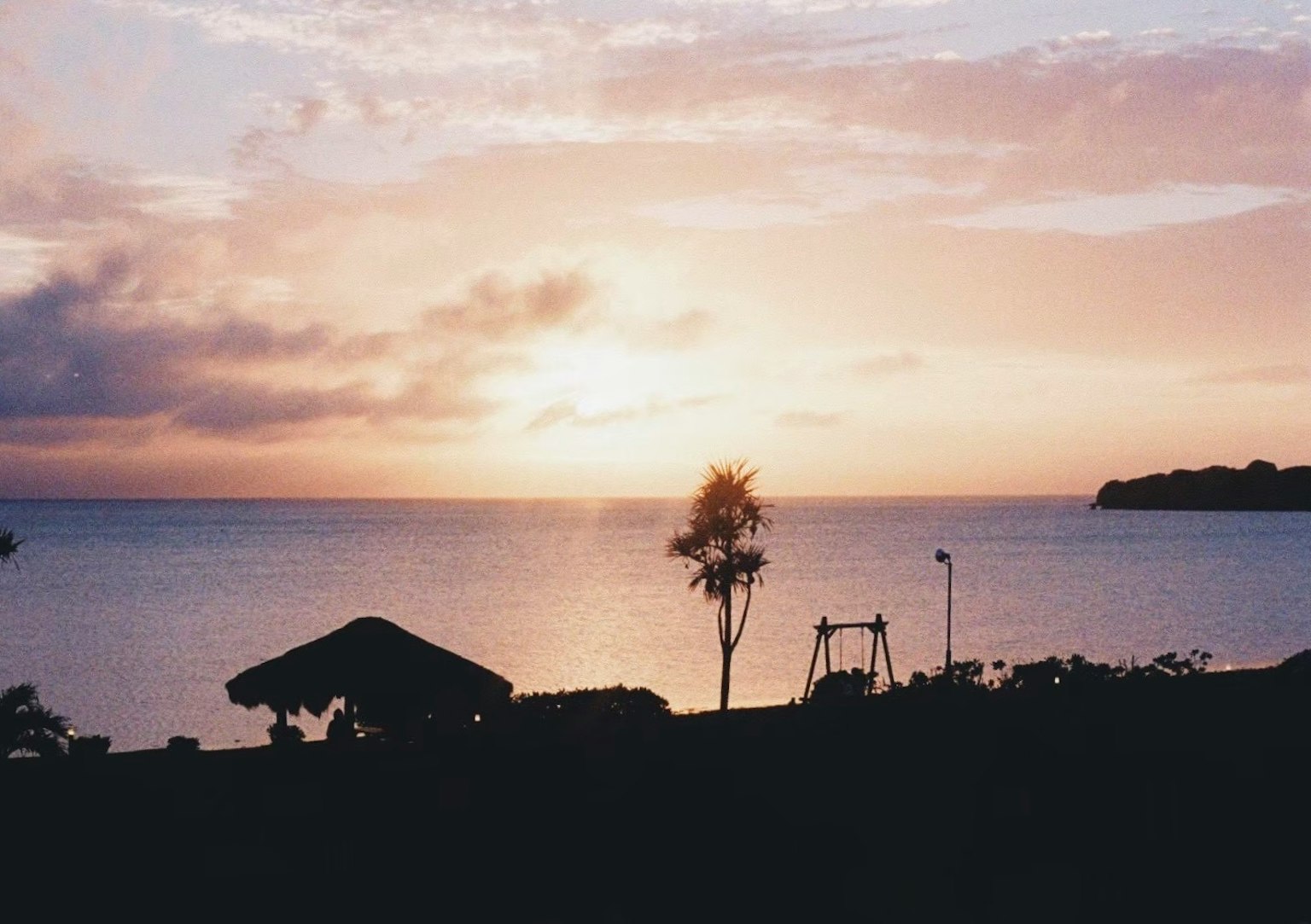 Hermoso atardecer sobre el mar con árboles en silueta