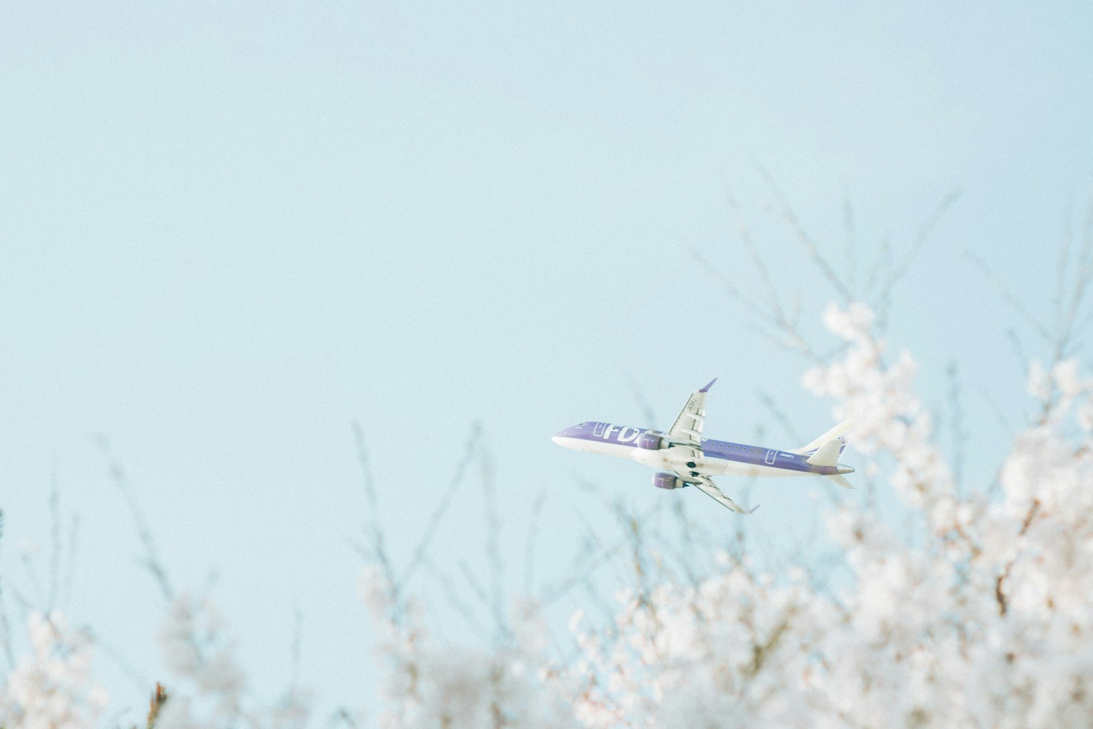 Flugzeug fliegt vor blauem Himmel mit weißen blühenden Zweigen