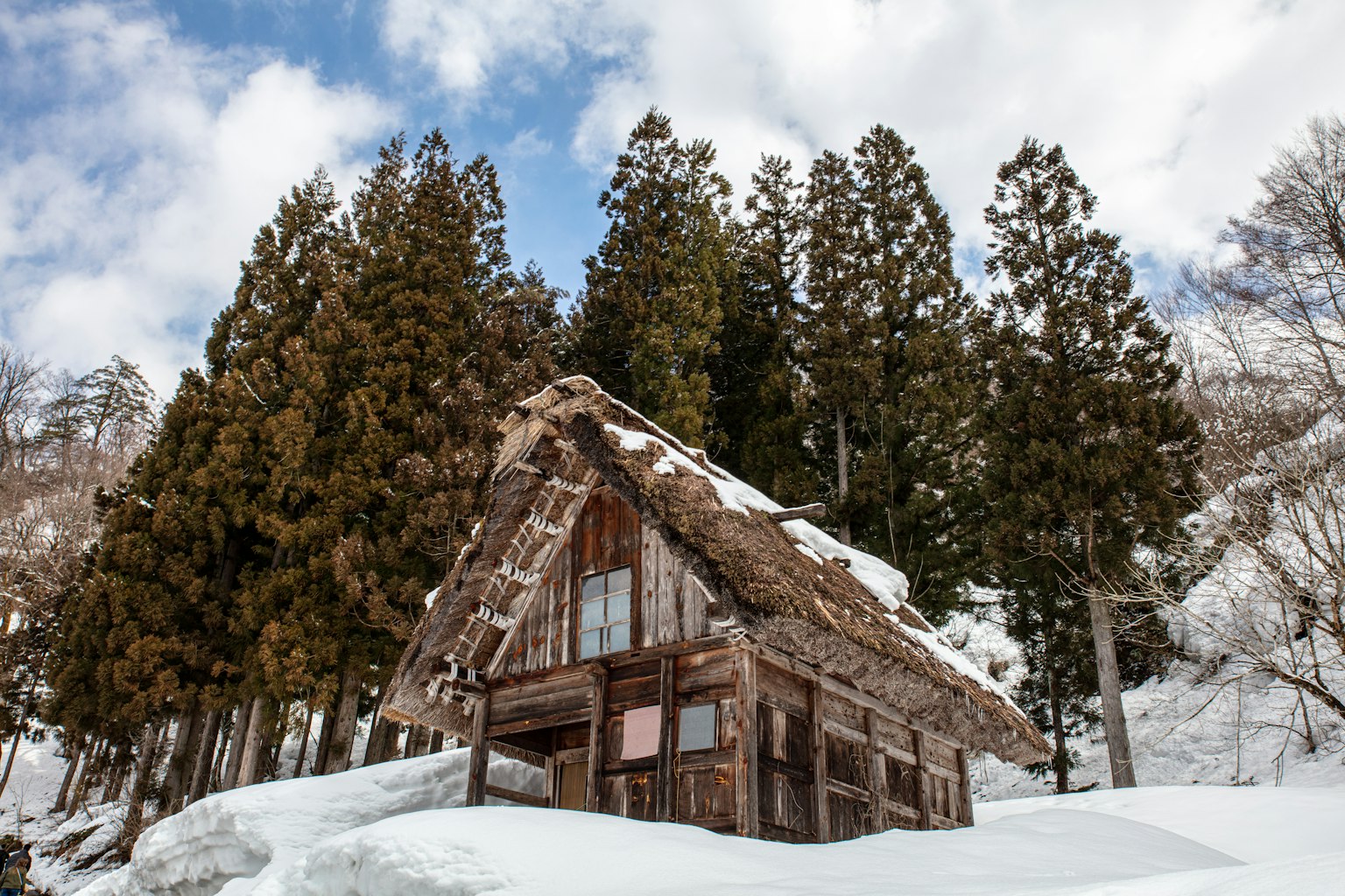 photo-StXOSkYNbFxC8p4U3NfI-image