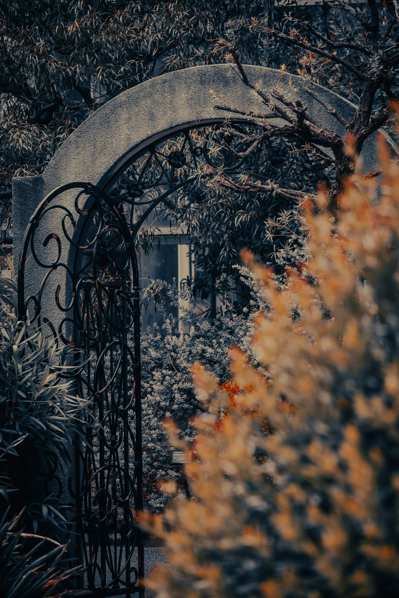 Un cancello in ferro vintage con fogliame colorato che incornicia un ingresso al giardino