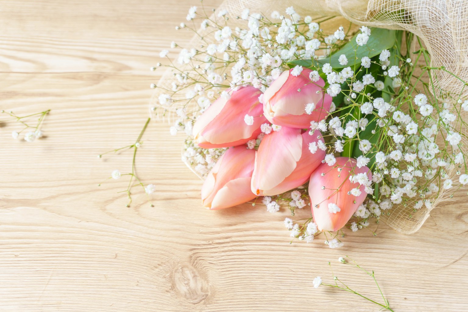 Strauß aus rosa Tulpen umgeben von Schleierkraut