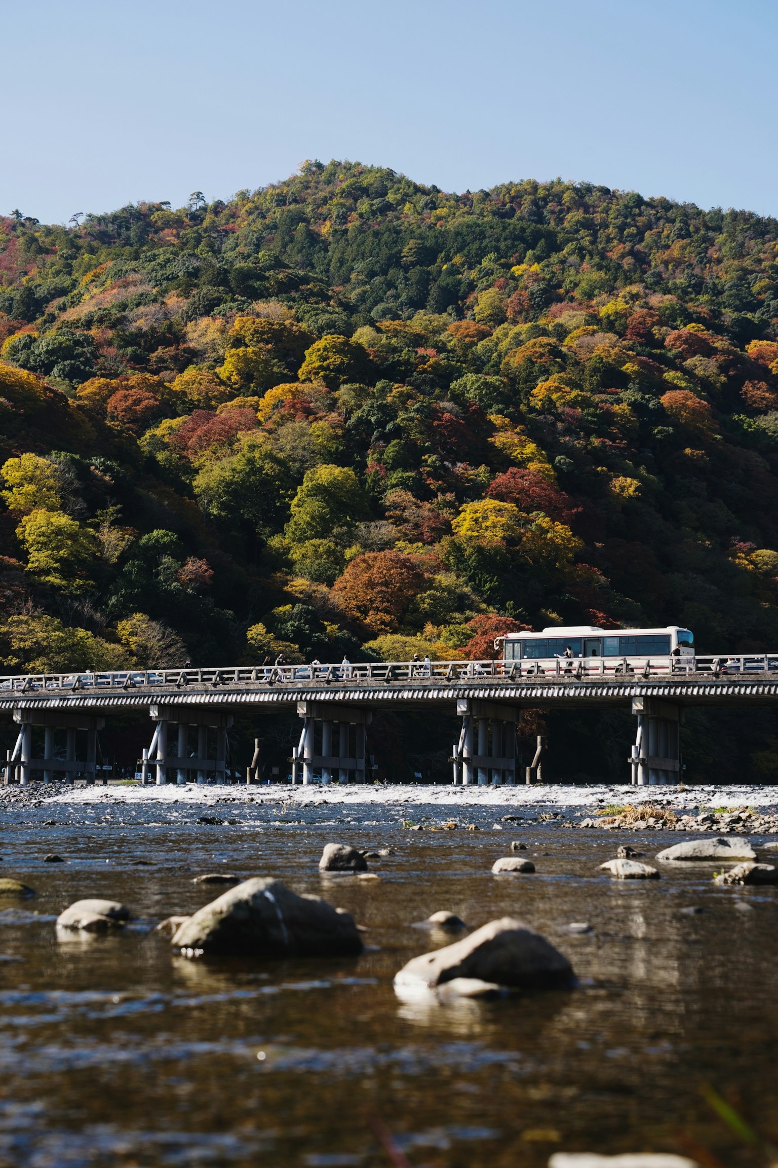 色とりどりの木々に囲まれた川と橋の風景