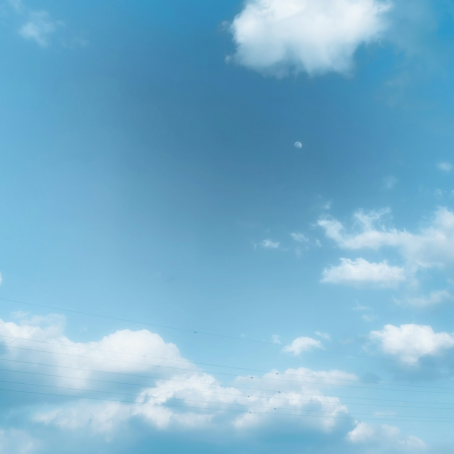 Langit biru cerah dengan awan putih berbulu