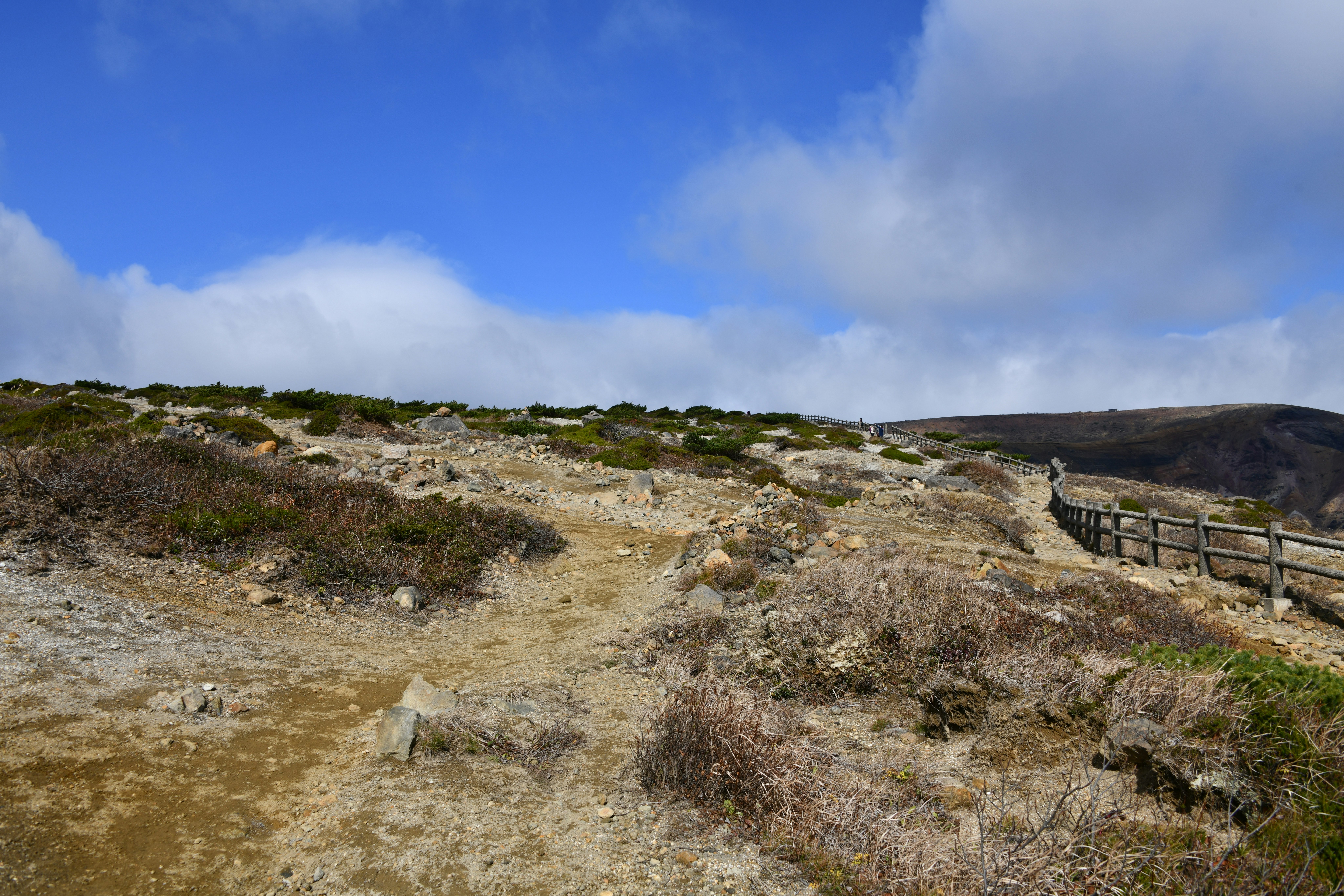 Küstenpfad durch raue Sanddünen und Graslandschaft