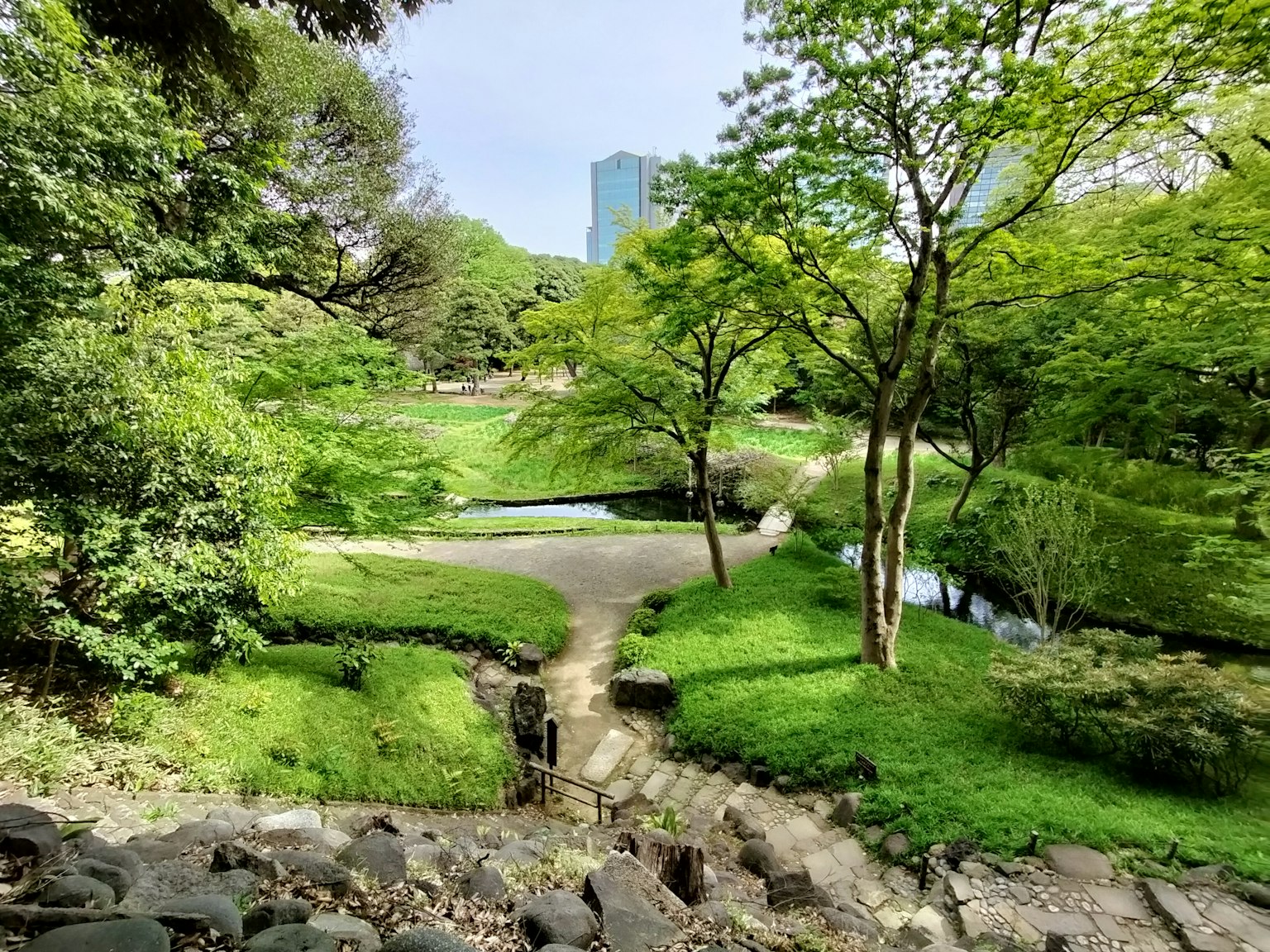 Lush green park landscape with a pond and walking paths