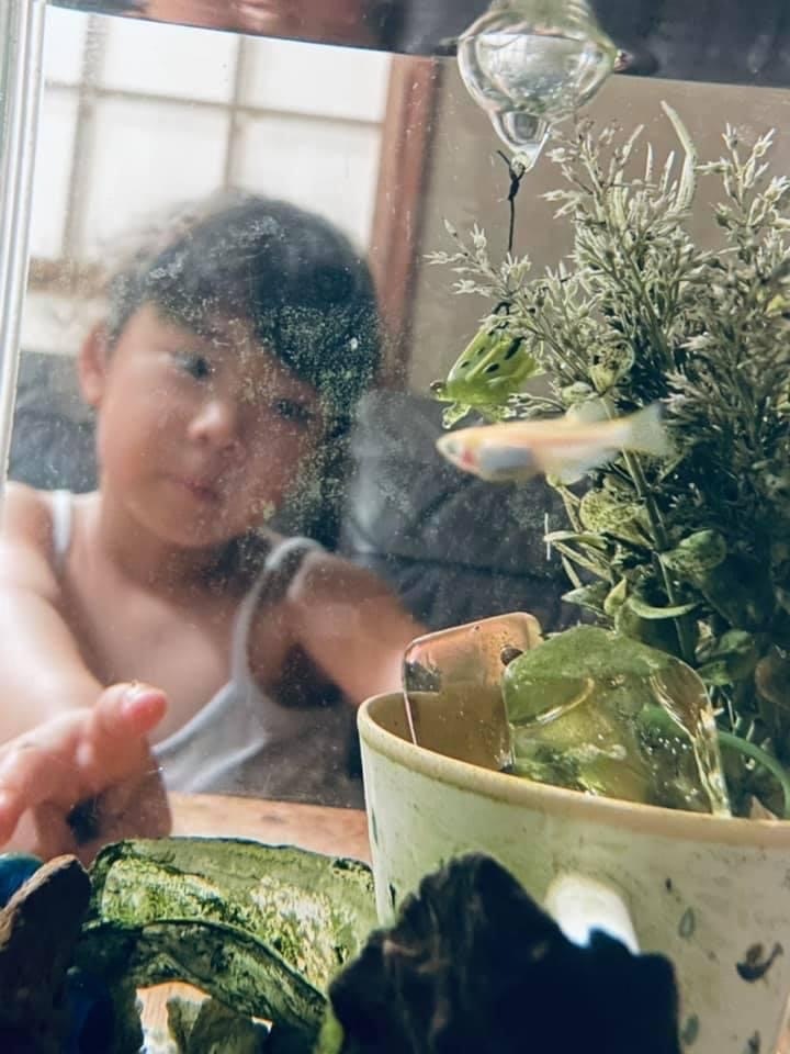 水しぶきの中でハーブを手にする子どものある室内の場面