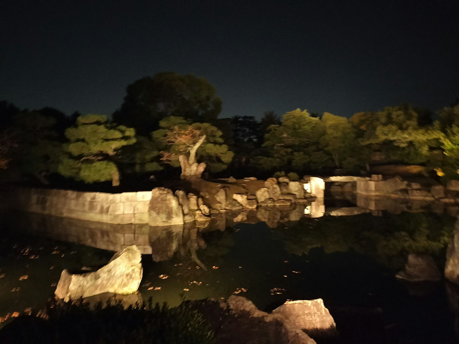 夜晚寧靜的日本花園池塘與岩石