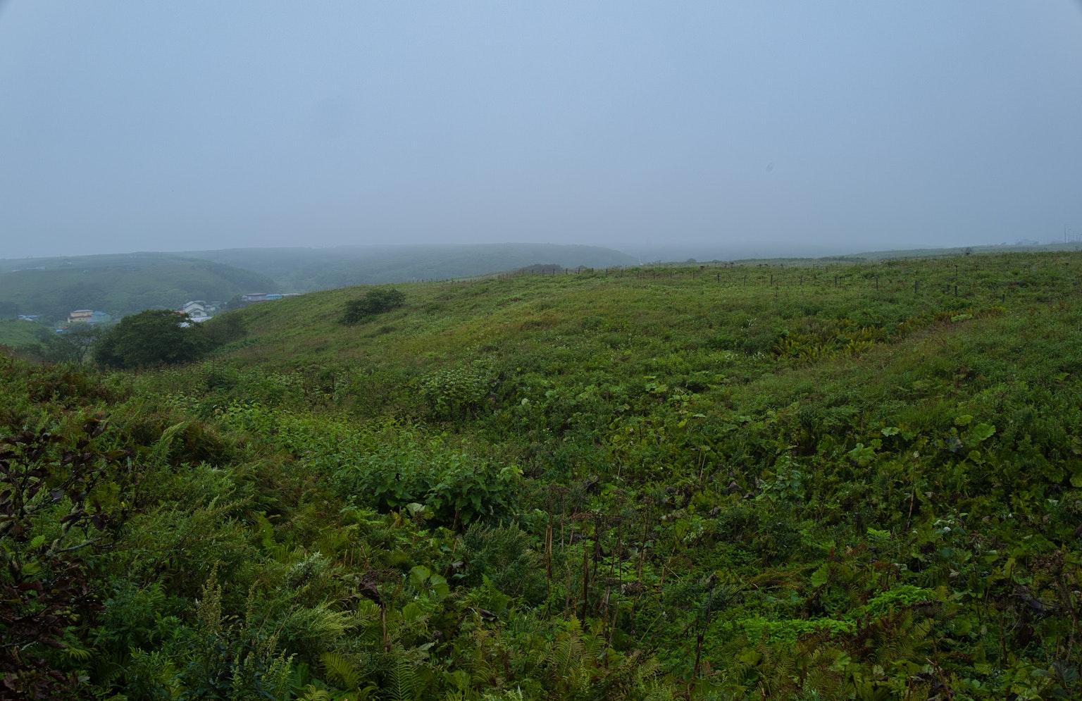 Foggy green hills with a distant settlement visible