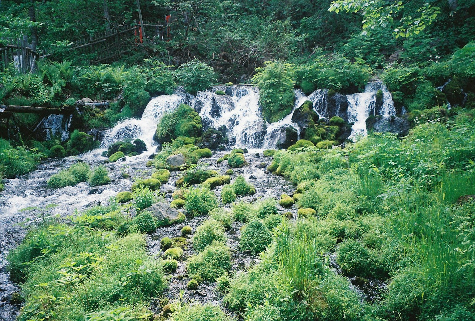 Une cascade sereine tombant sur des rochers entourés de verdure luxuriante