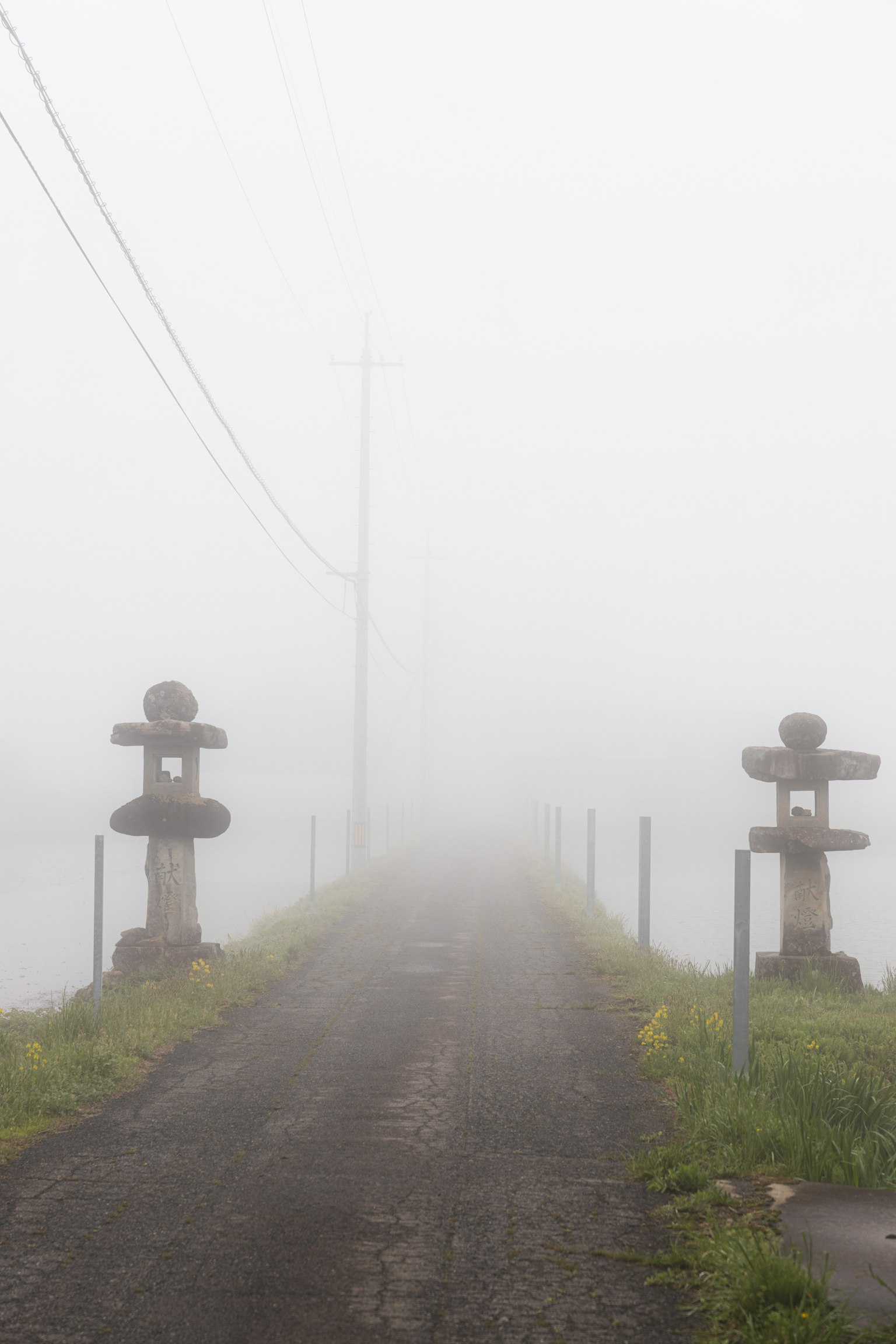 Chemin enveloppé dans le brouillard avec des lanternes en pierre de chaque côté