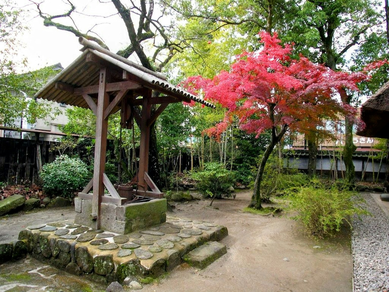 Traditional well in a garden with a red maple tree