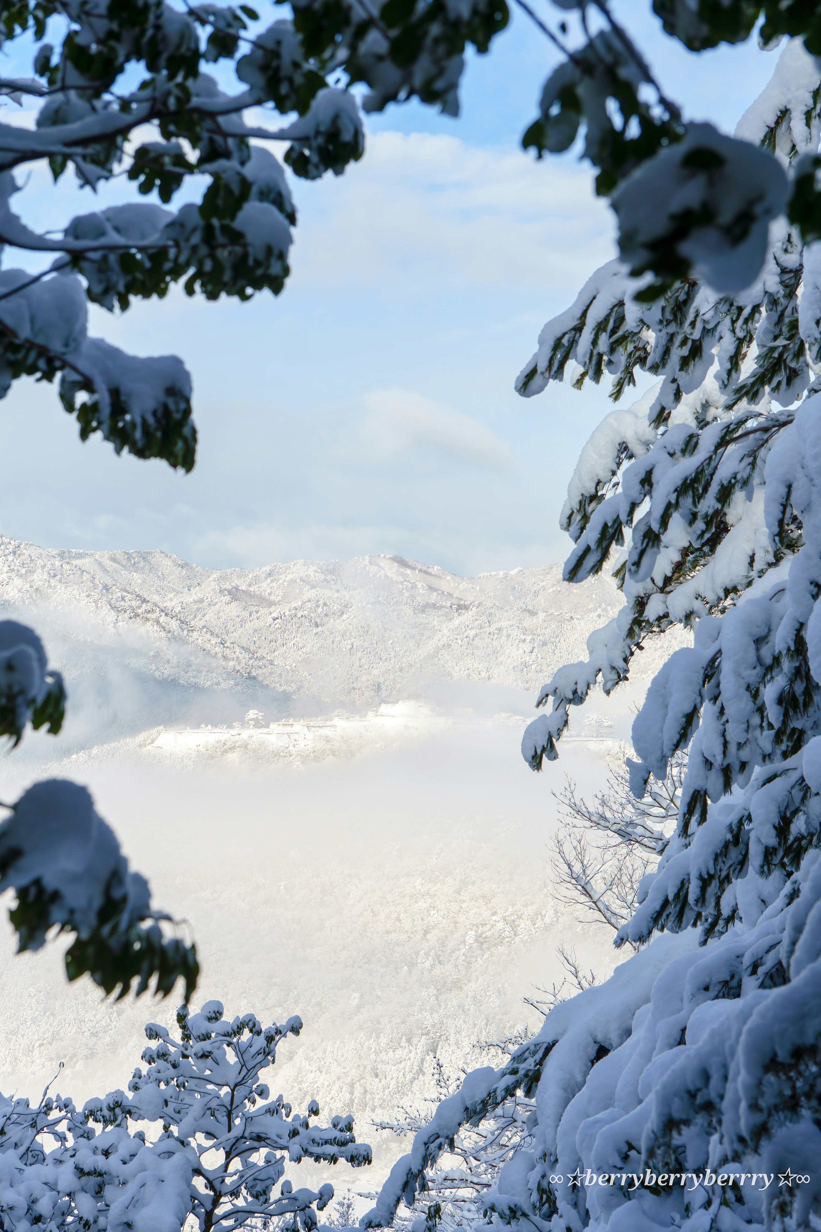 雪山登山の雪景色、雪に覆われた木々の枝先と山並み