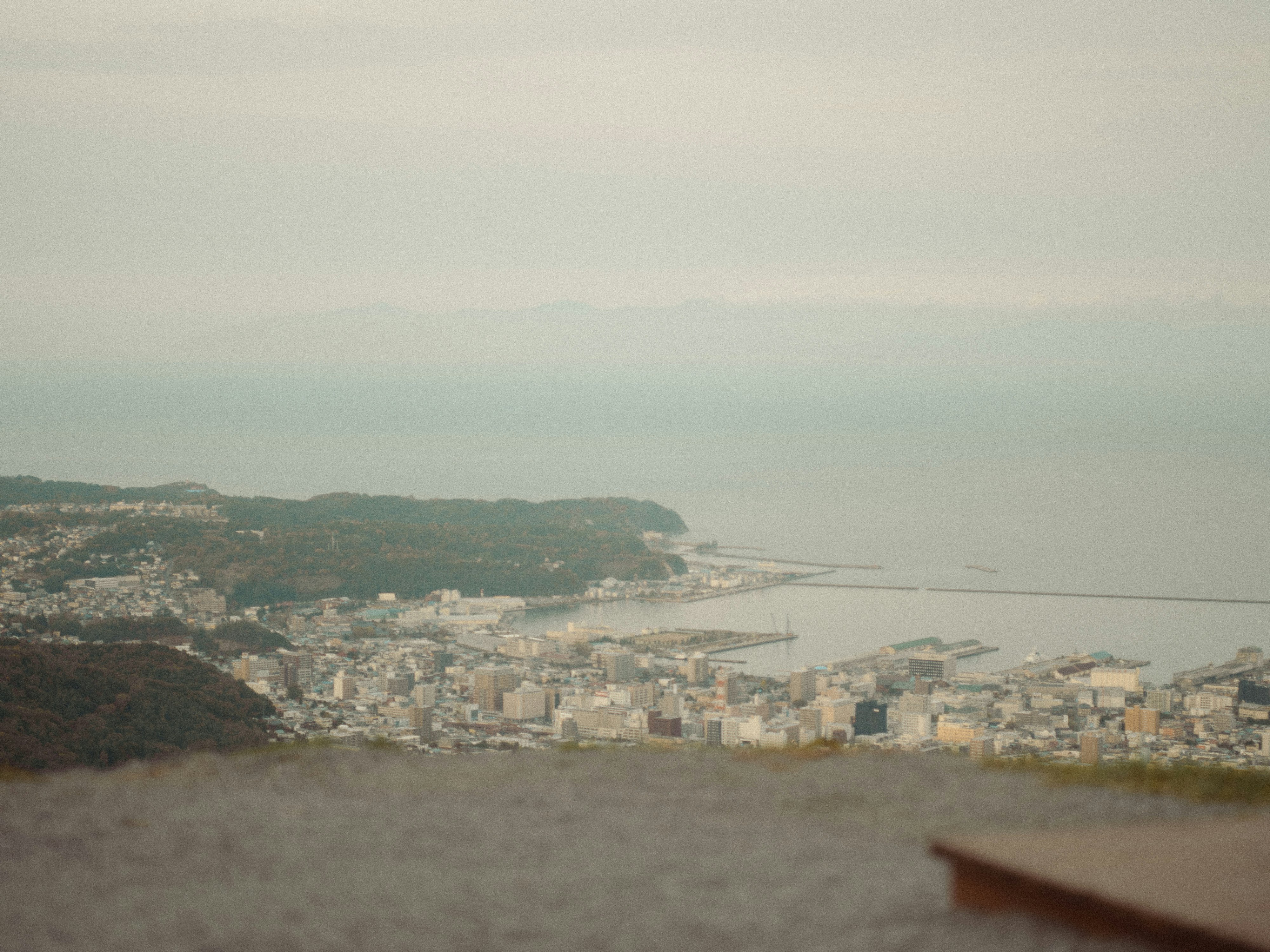 海沿いの街並みと湾の眺望