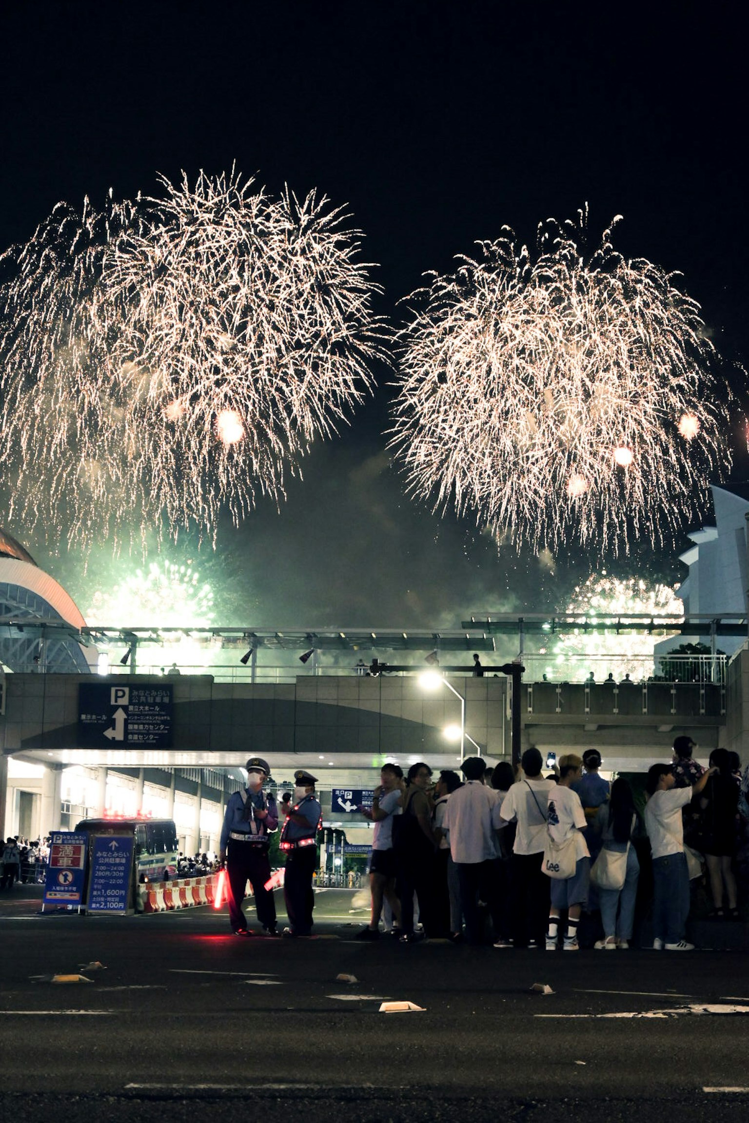 Fireworks lighting up the night sky with silhouettes of spectators