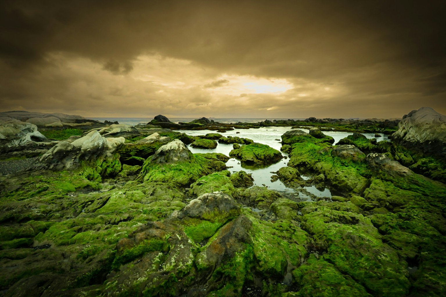 Küstenlandschaft mit moosbedeckten Felsen und Gezeitenpools