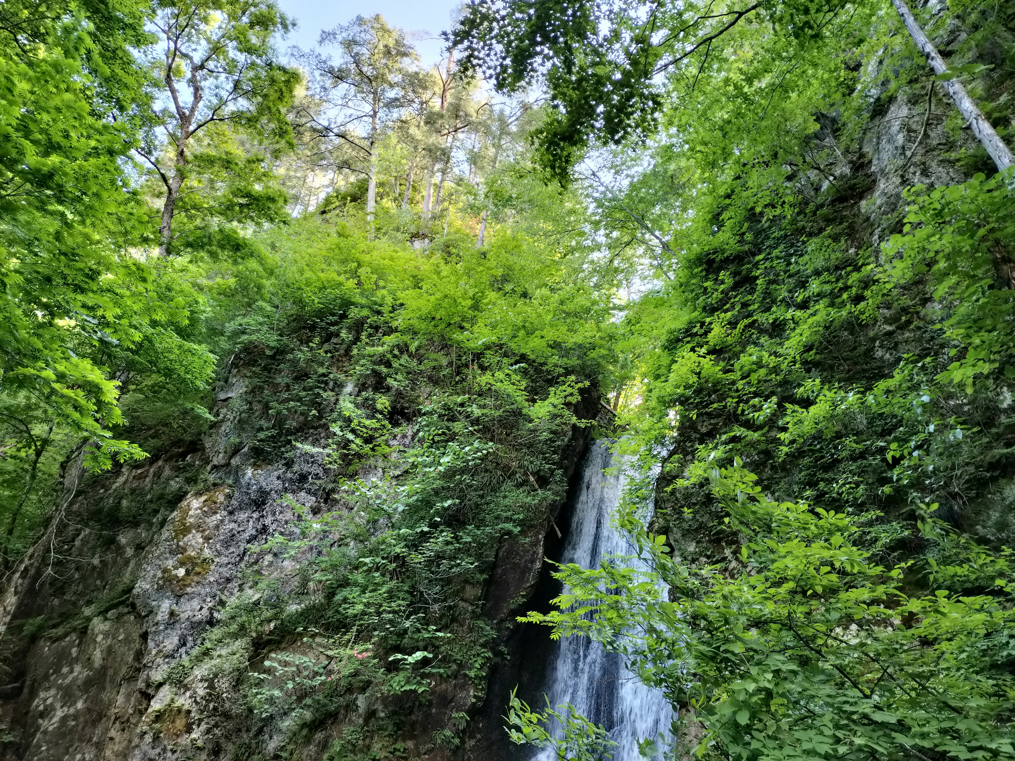 Fudo Falls cascading down a lush green gorge