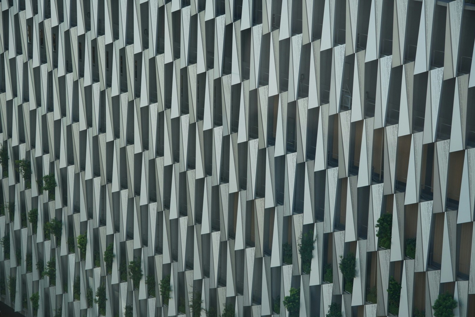 facciata dell’edificio con motivo geometrico di finestre e vegetazione