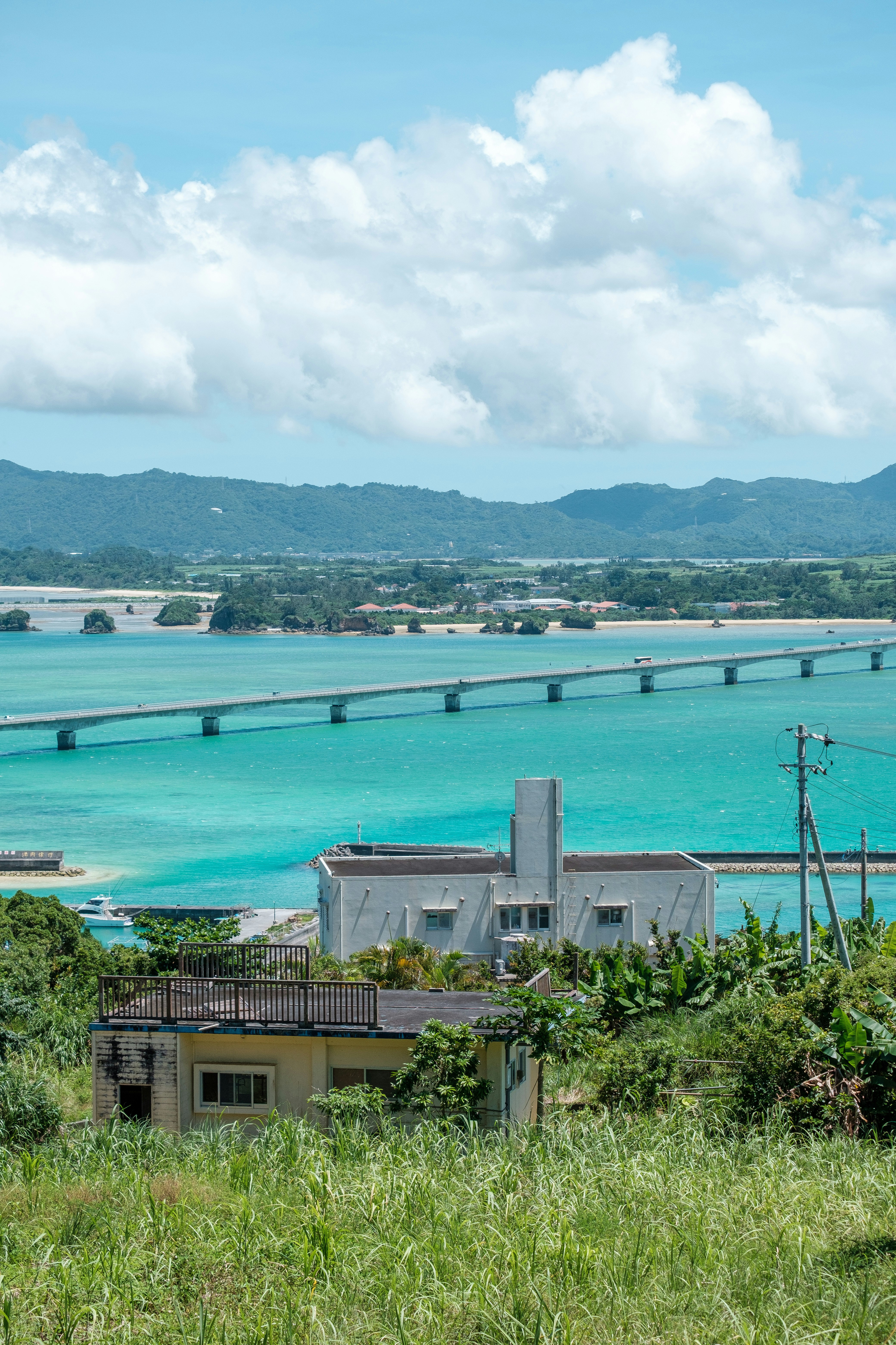 青い海と湾にかかる橋を見下ろす景色