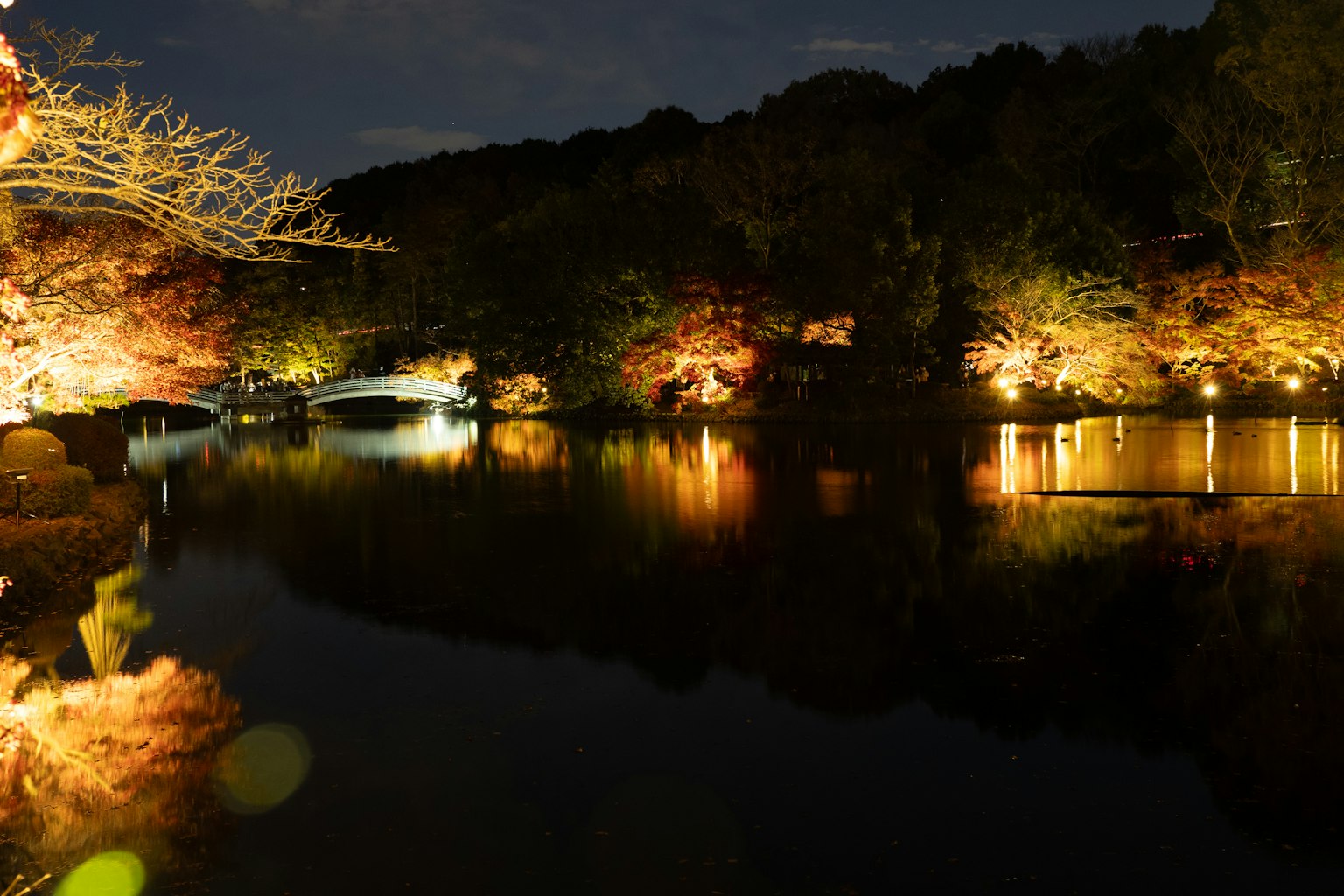 Vista nocturna de un estanque reflejando luces y hojas de otoño