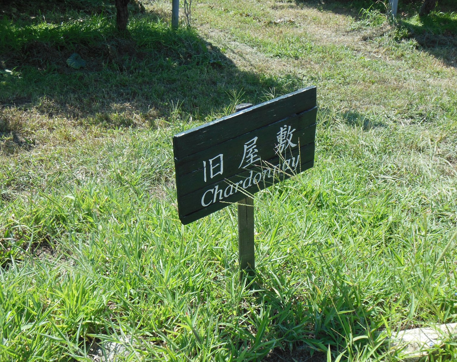 Un panneau noir avec des lettres blanches indiquant 'Ancien Paysage' entouré d'herbe