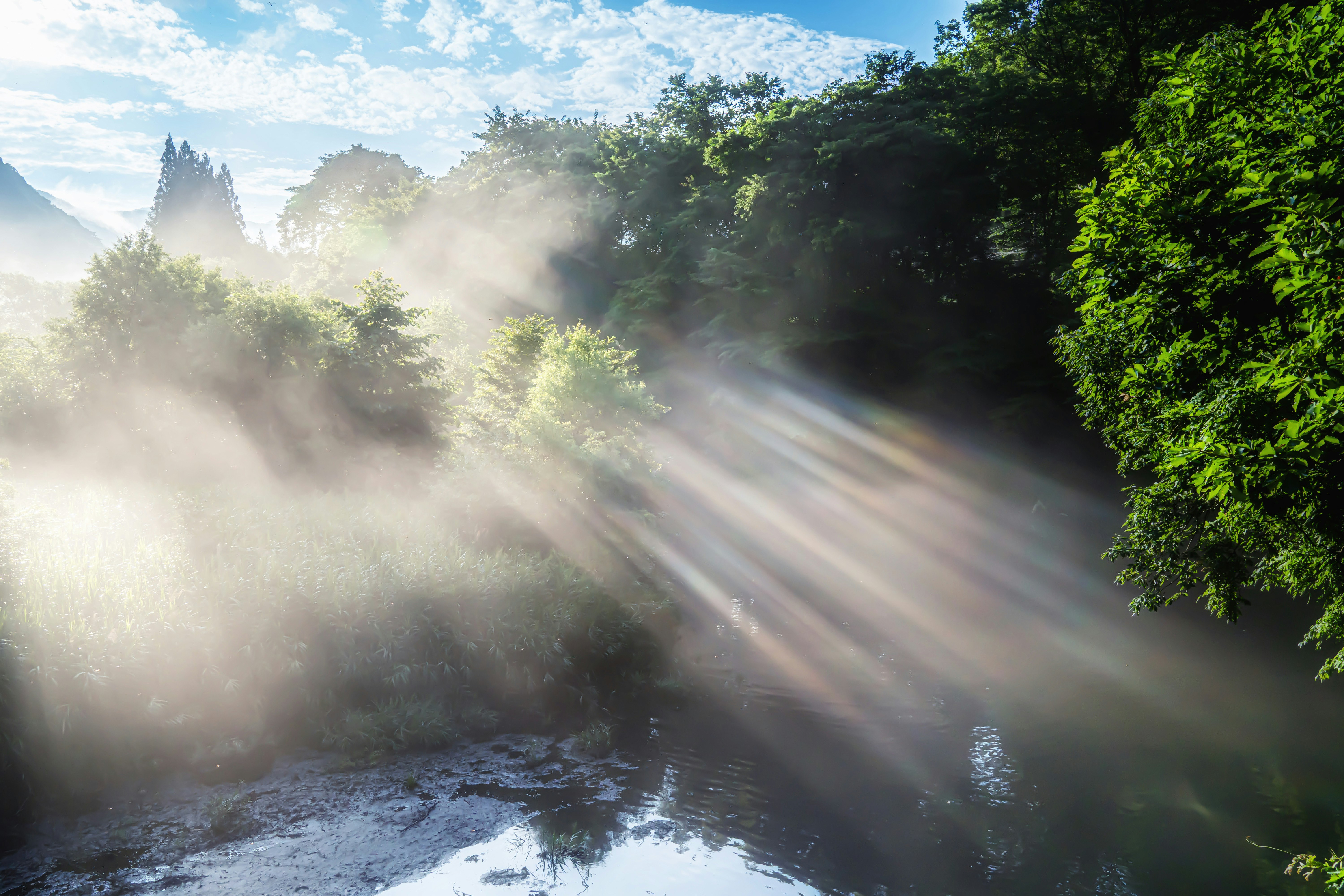 霧のかかった渓谷を光芒が照らす自然風景