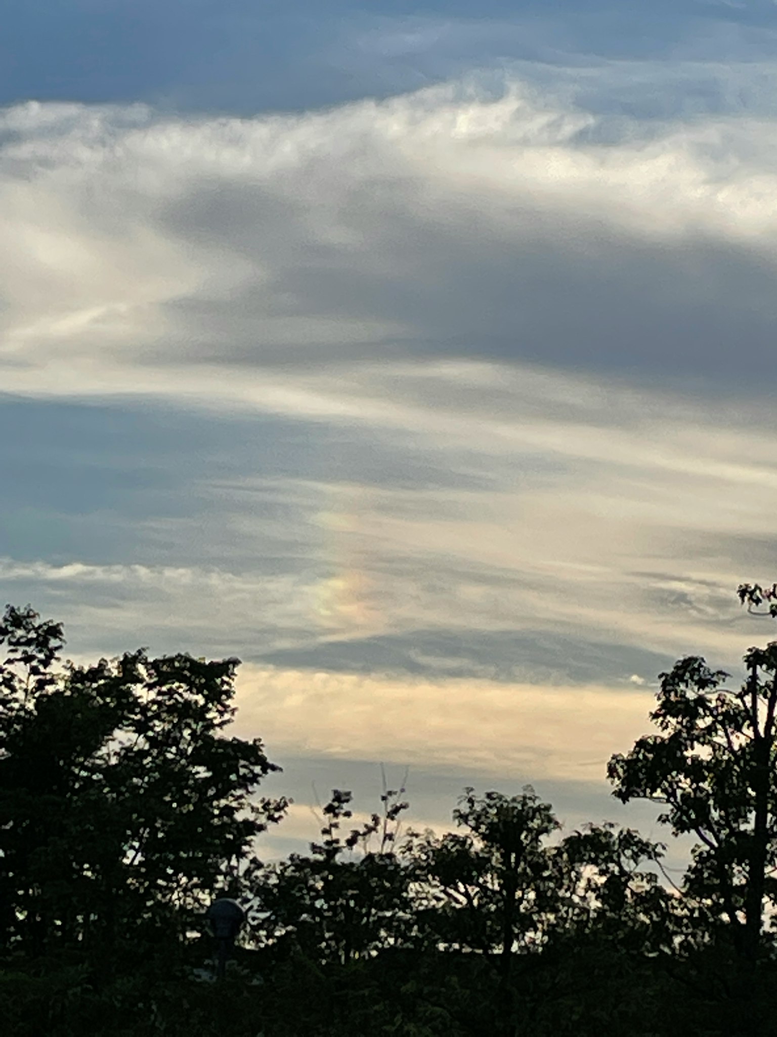 Cielo azul con nubes finas y siluetas de árboles verdes