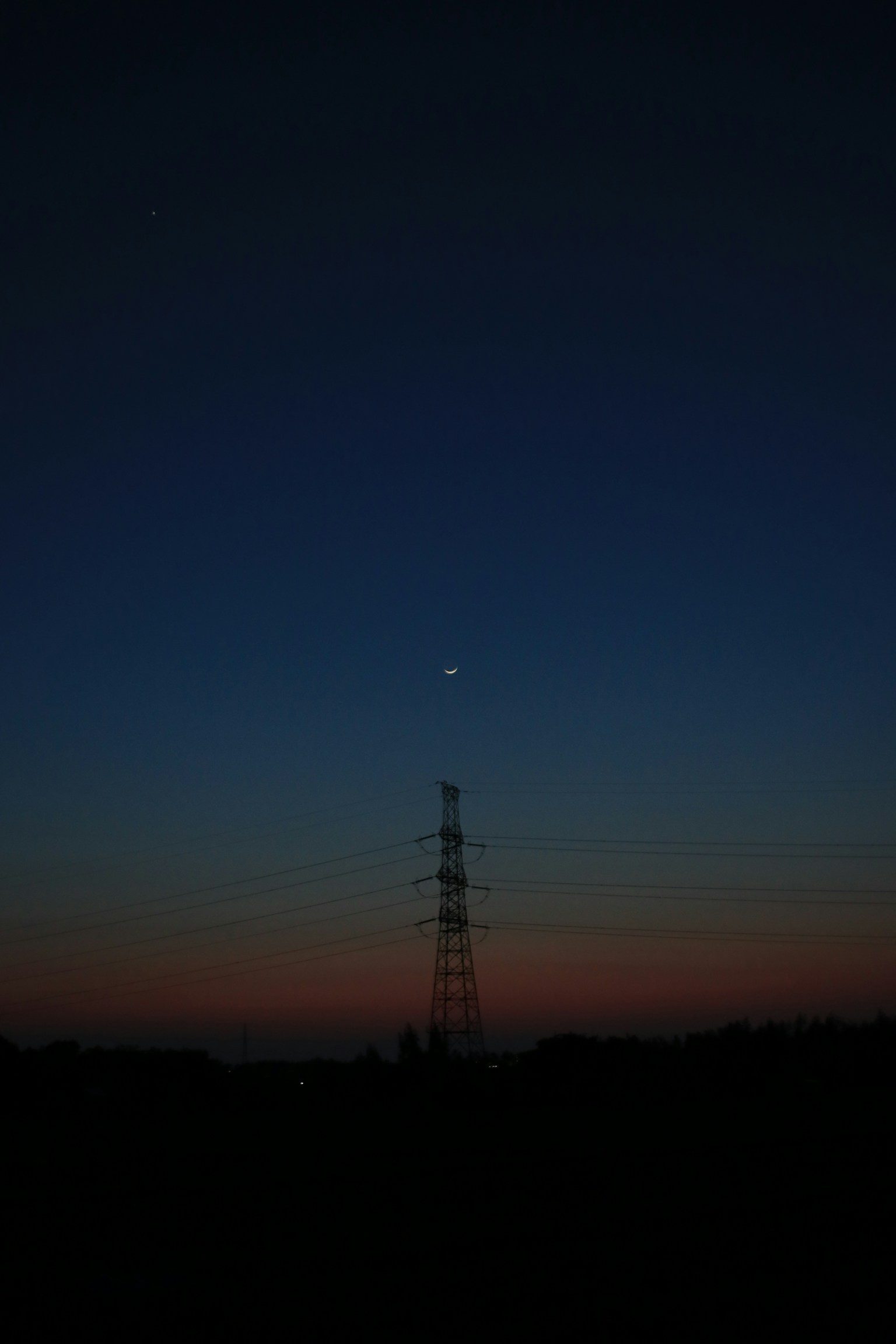 photo-T1K0cVdbo8nnVFQ8rt6a-image