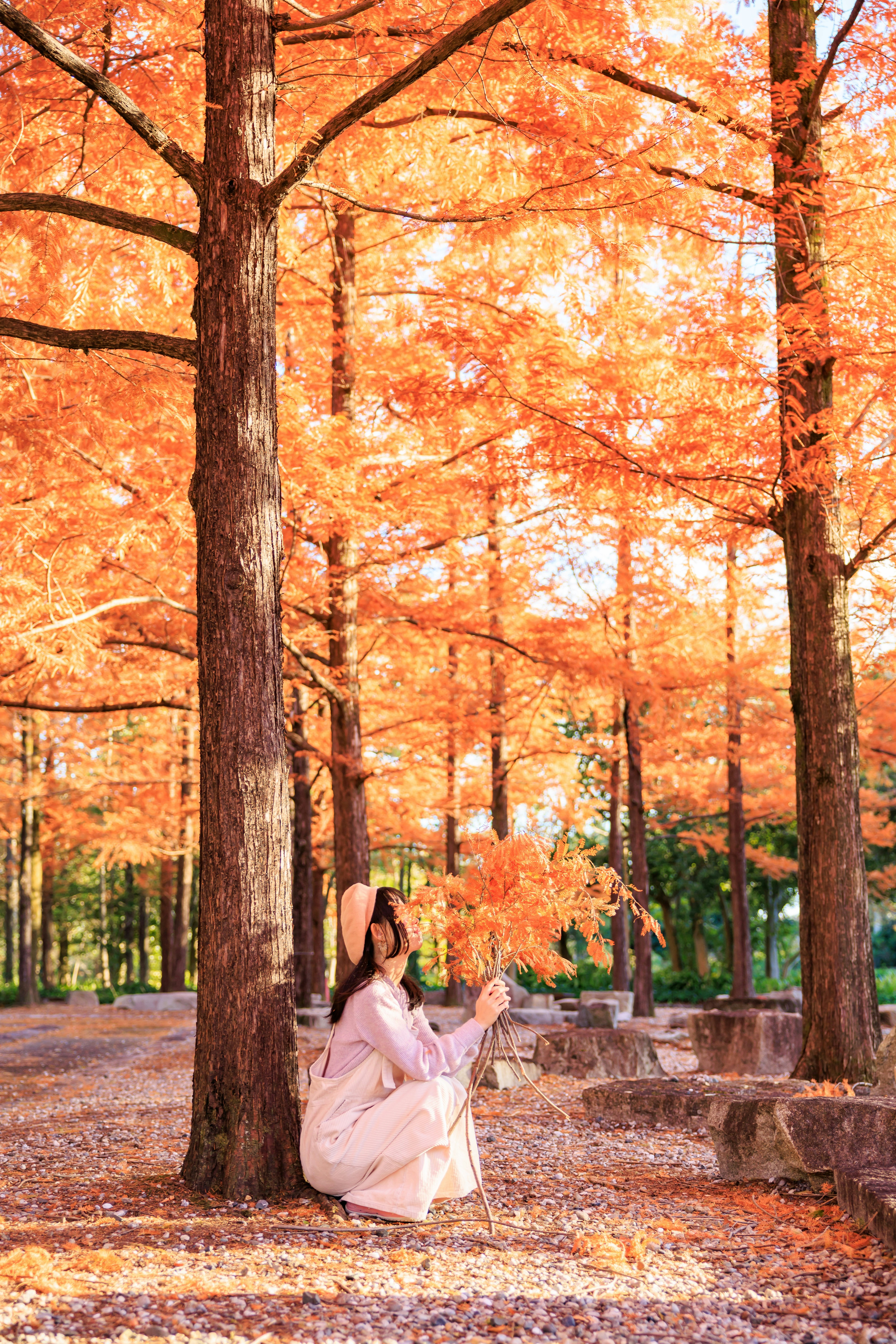 紅葉の並木道で木の間に座る女性