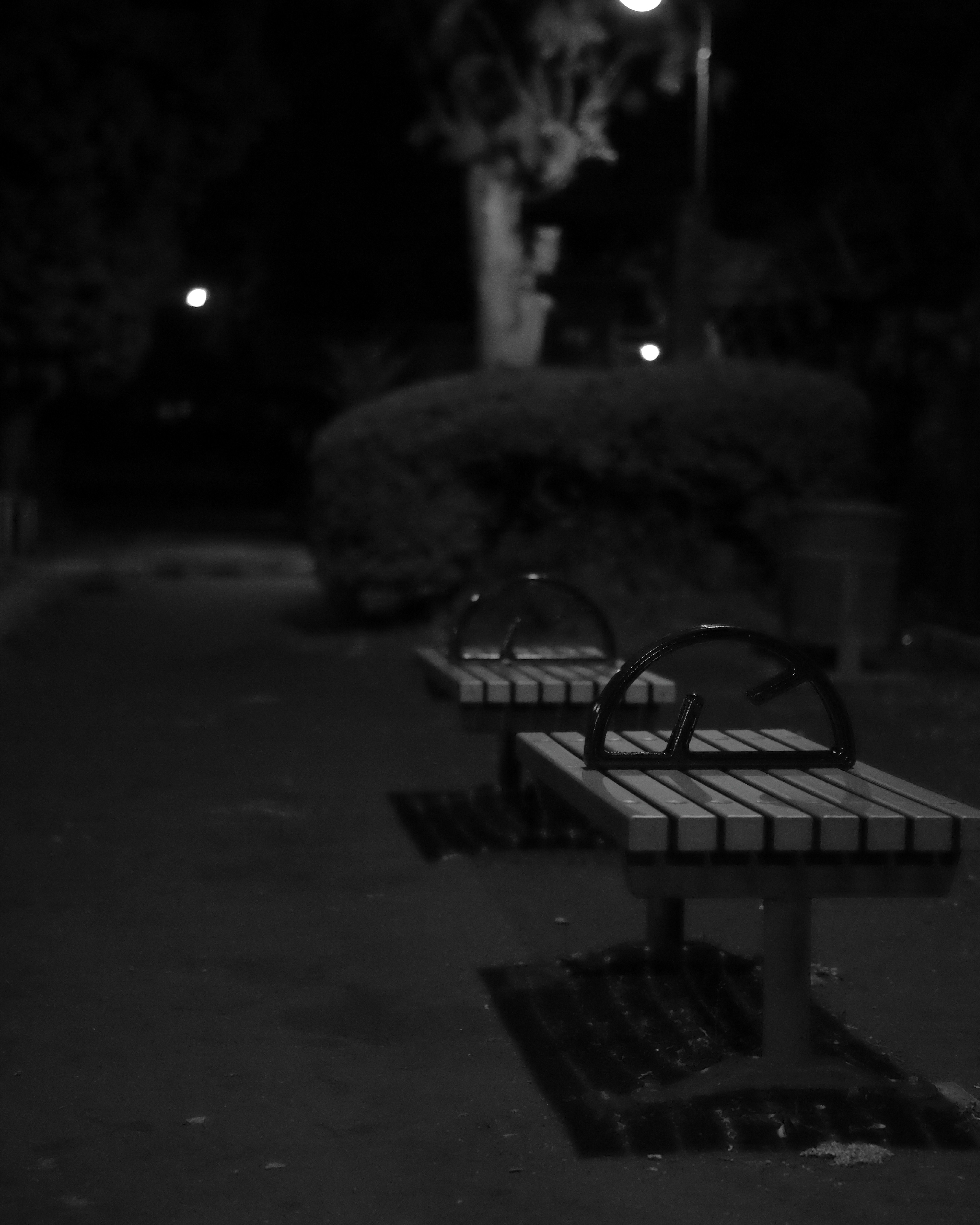 quiet park bench at night under streetlights