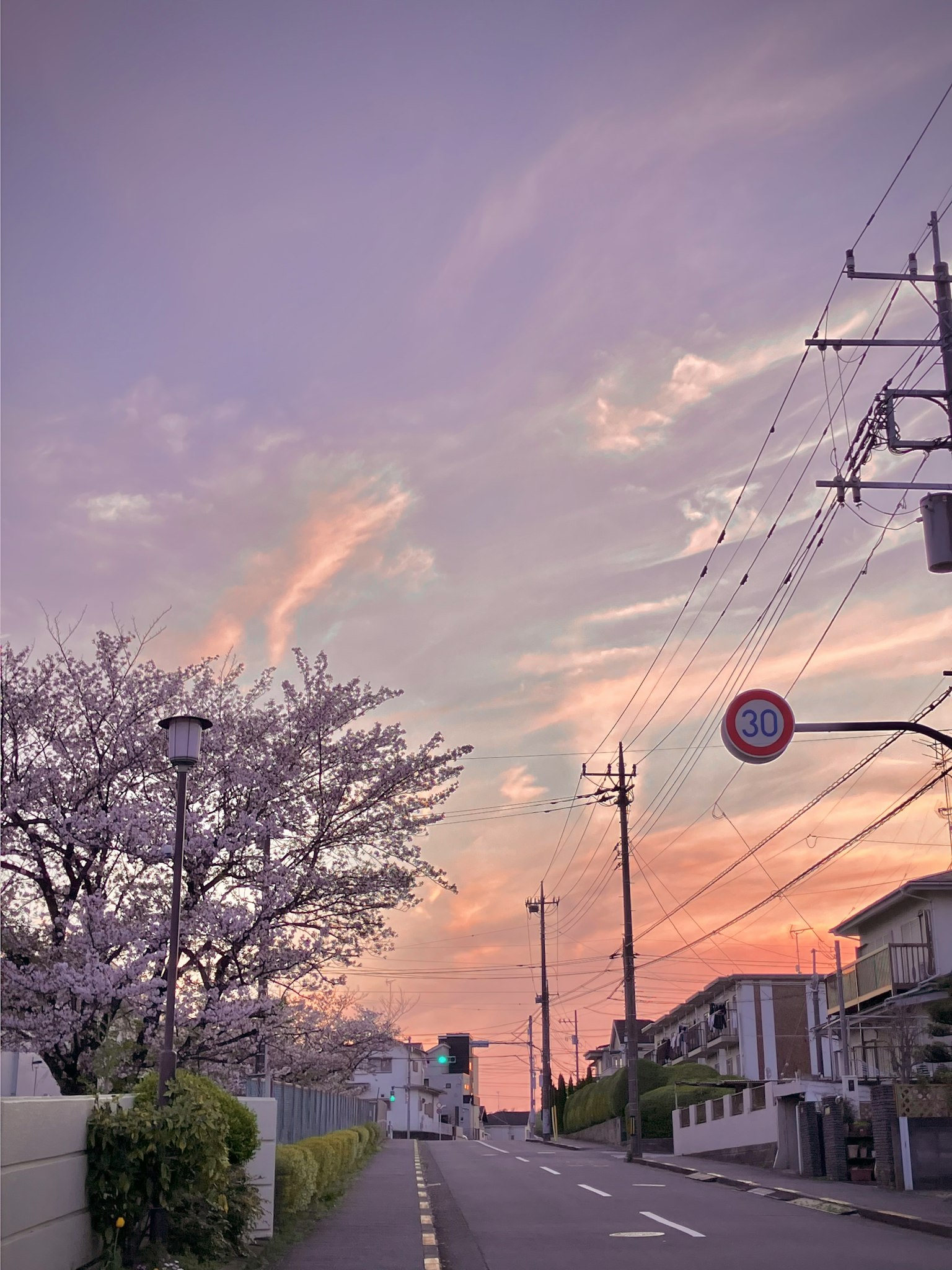 photo-T3s4yolp8HsNqnk47dLJ-image